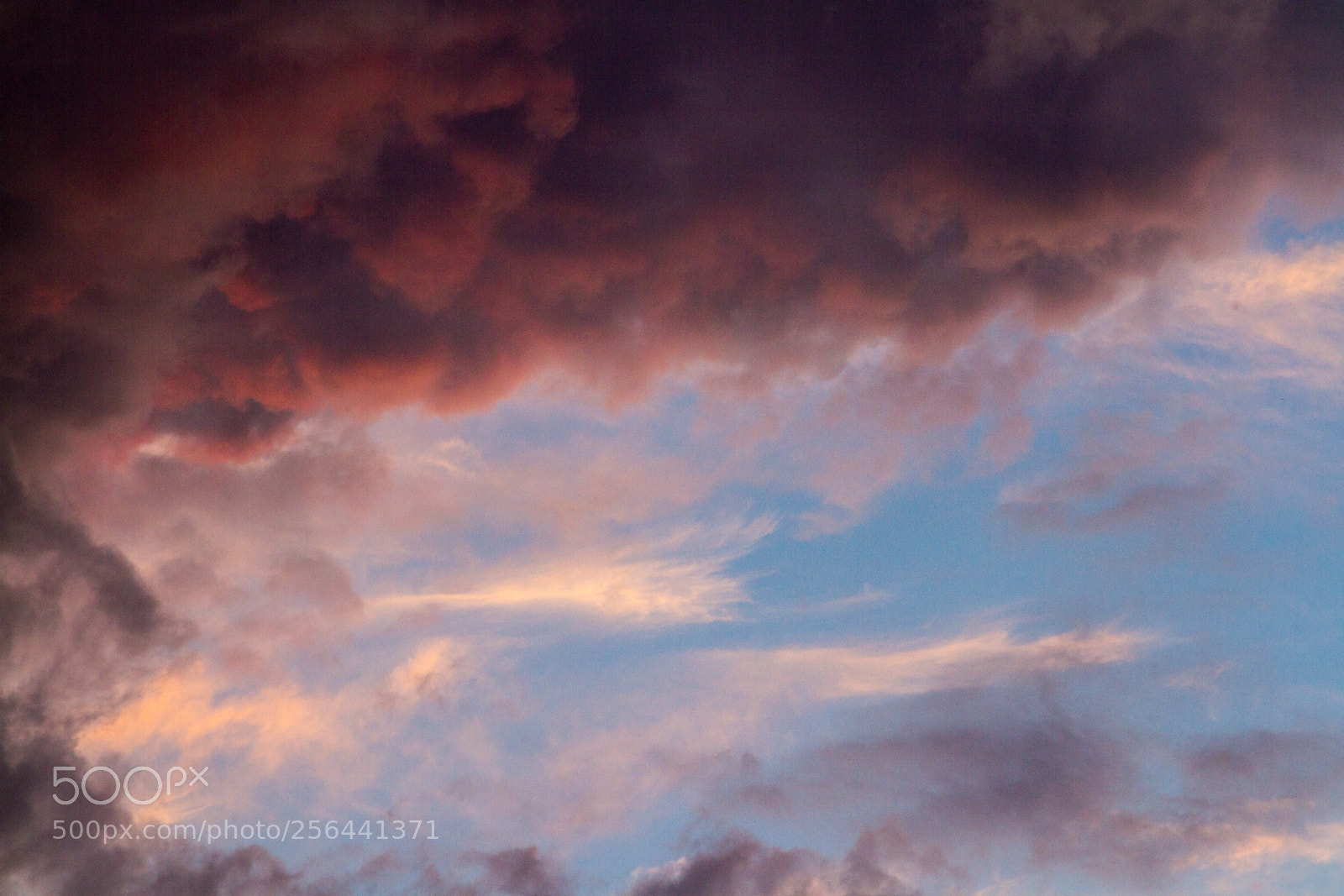 Canon EOS 7D sample photo. Untitled photography