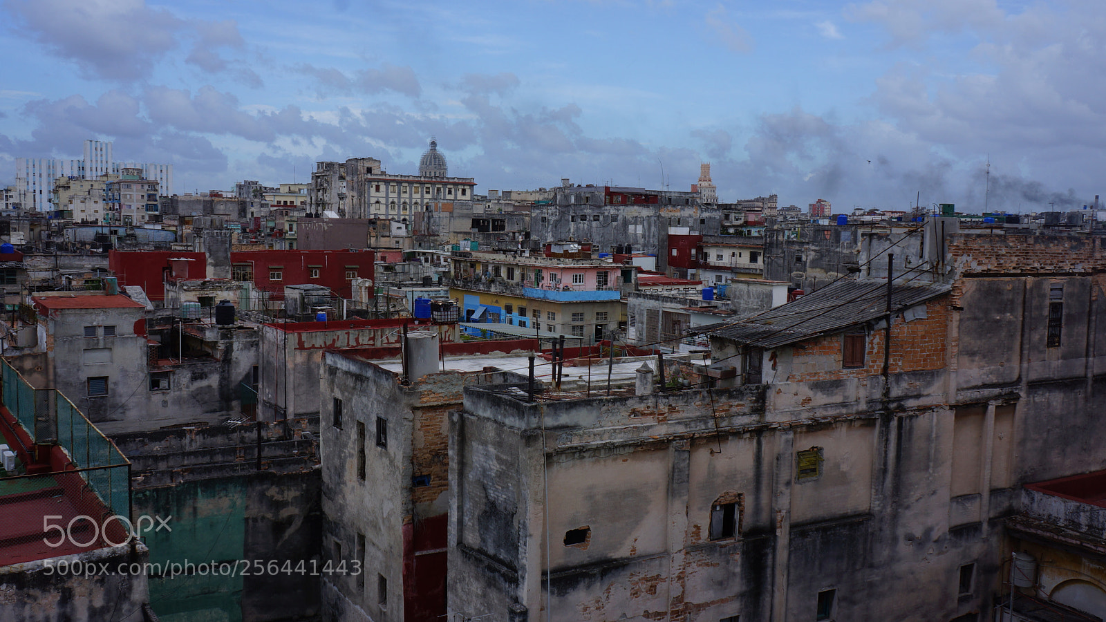 Sony Alpha NEX-7 sample photo. Dsc photography