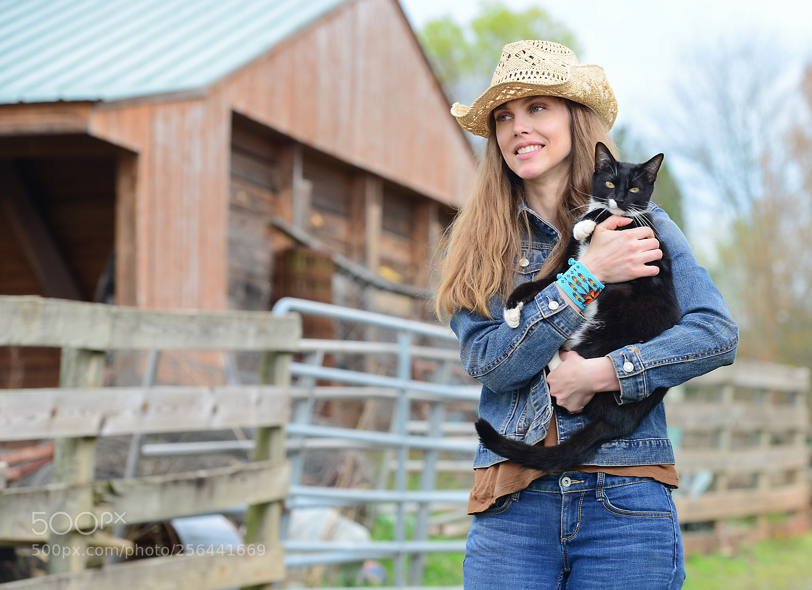 Nikon D800 sample photo. Holding the farm cat photography