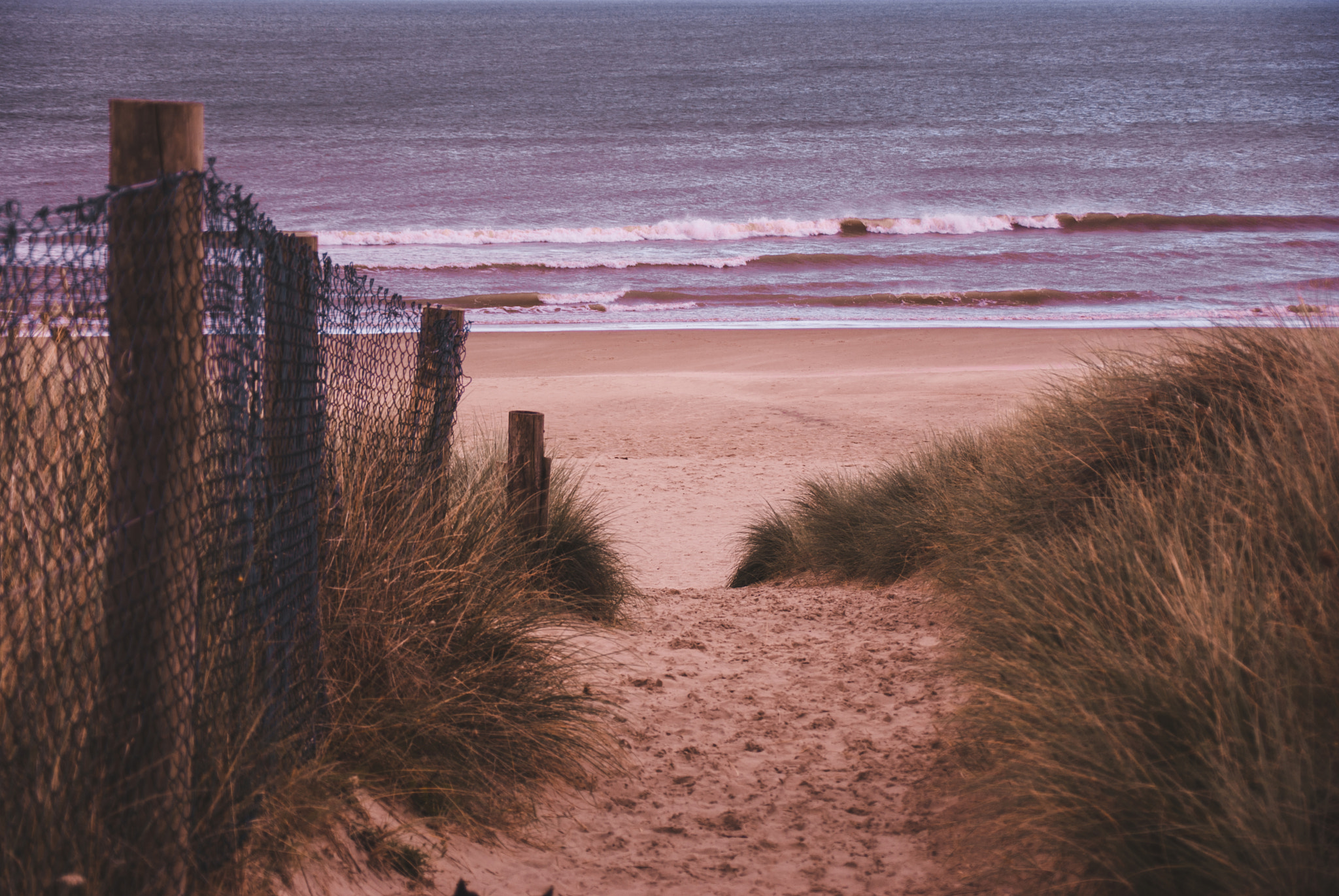 Sony Alpha DSLR-A330 sample photo. Wexford photography