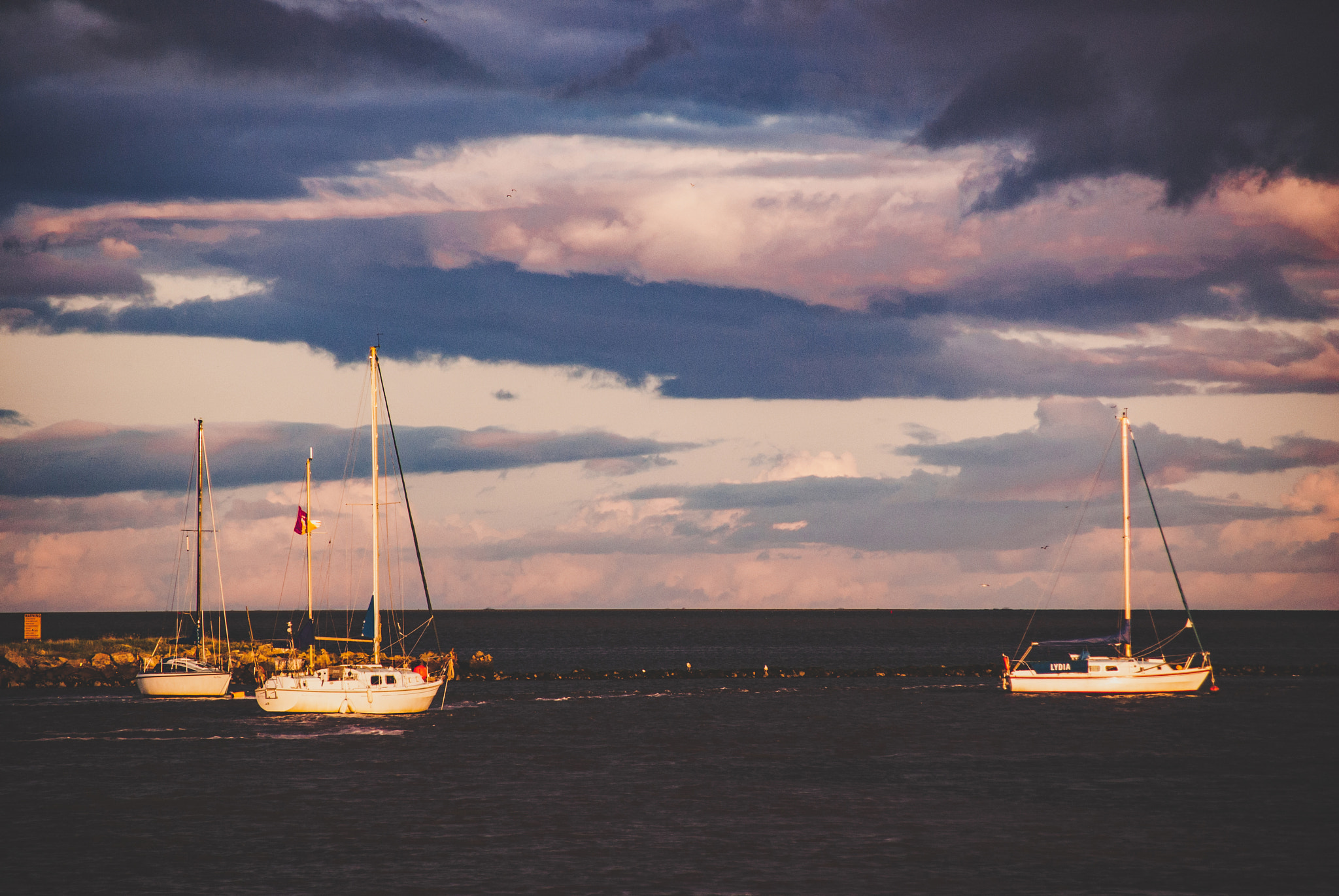 Sony Alpha DSLR-A330 sample photo. Wexford photography