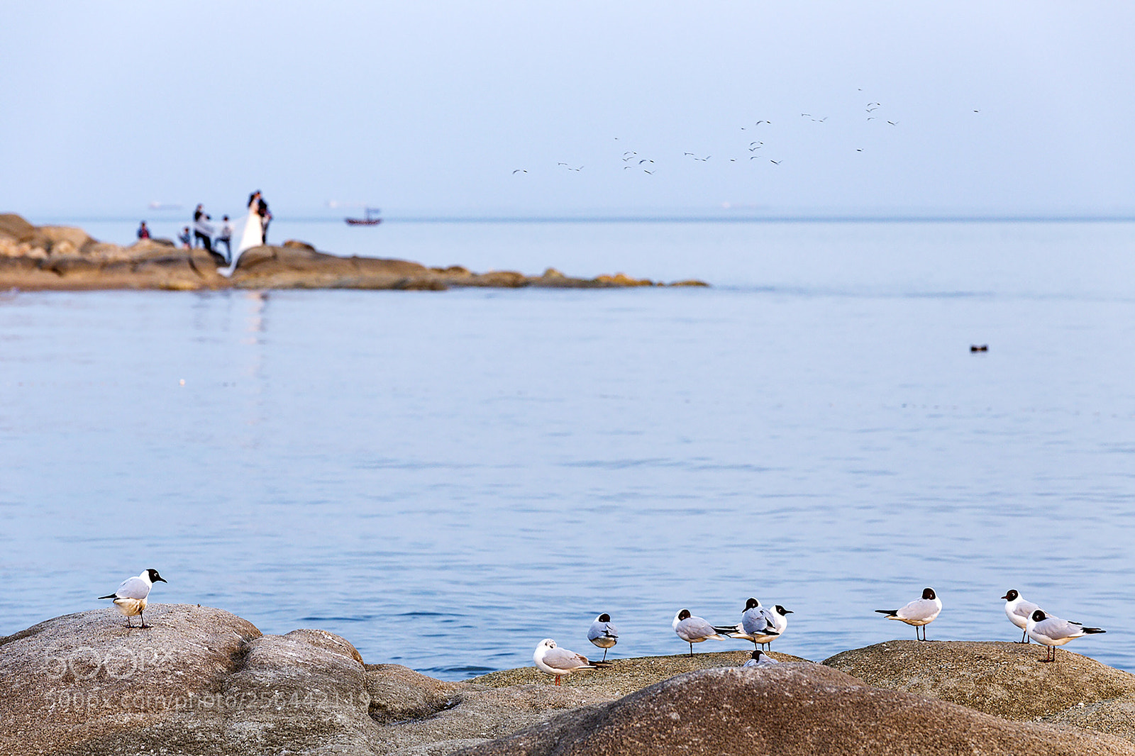 Canon EOS 6D sample photo. Live in harmony with photography