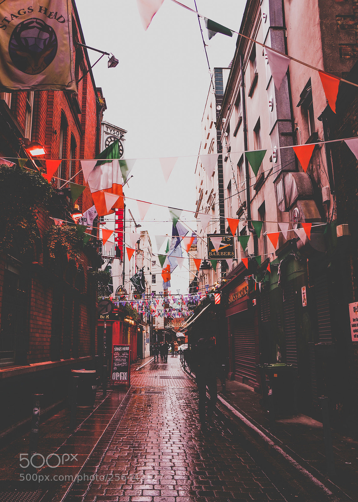 Sony Alpha NEX-5R sample photo. Dublin photography