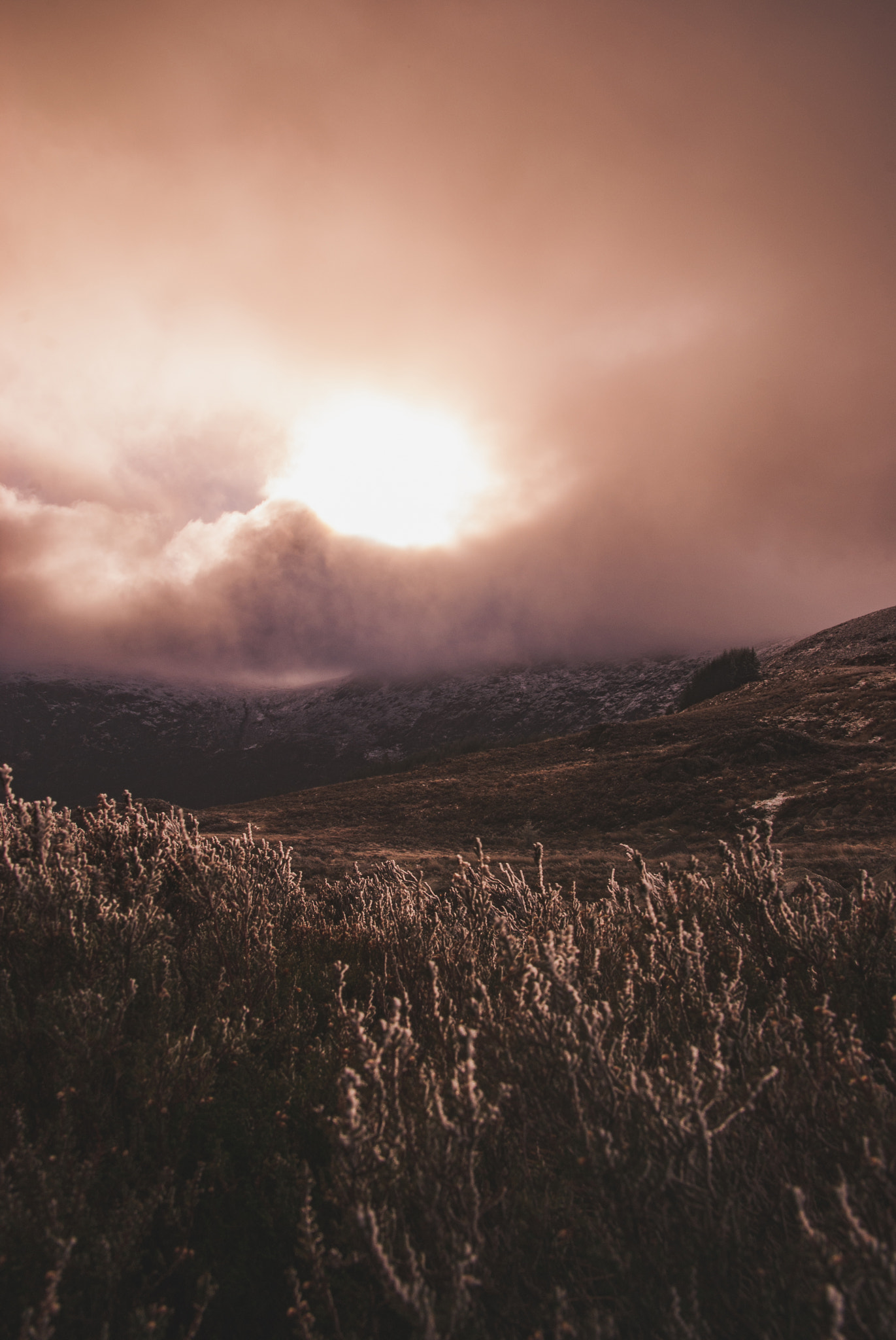 Sony Alpha DSLR-A330 sample photo. Mountains photography