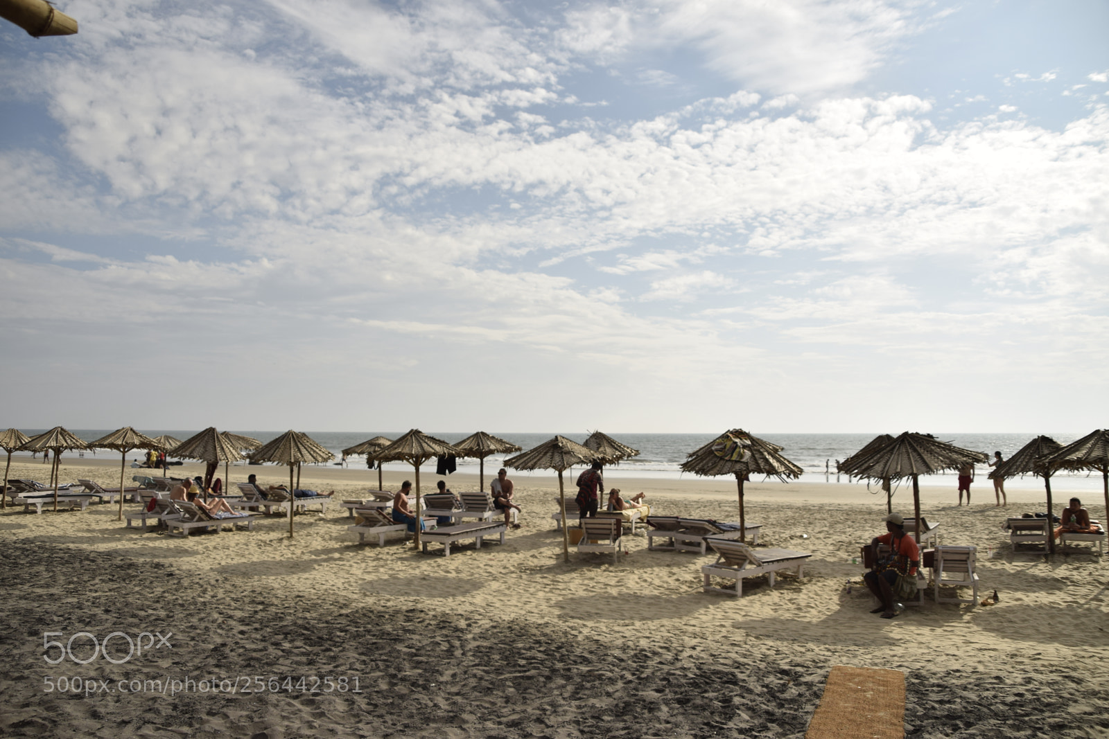 Nikon D5300 sample photo. A () photography