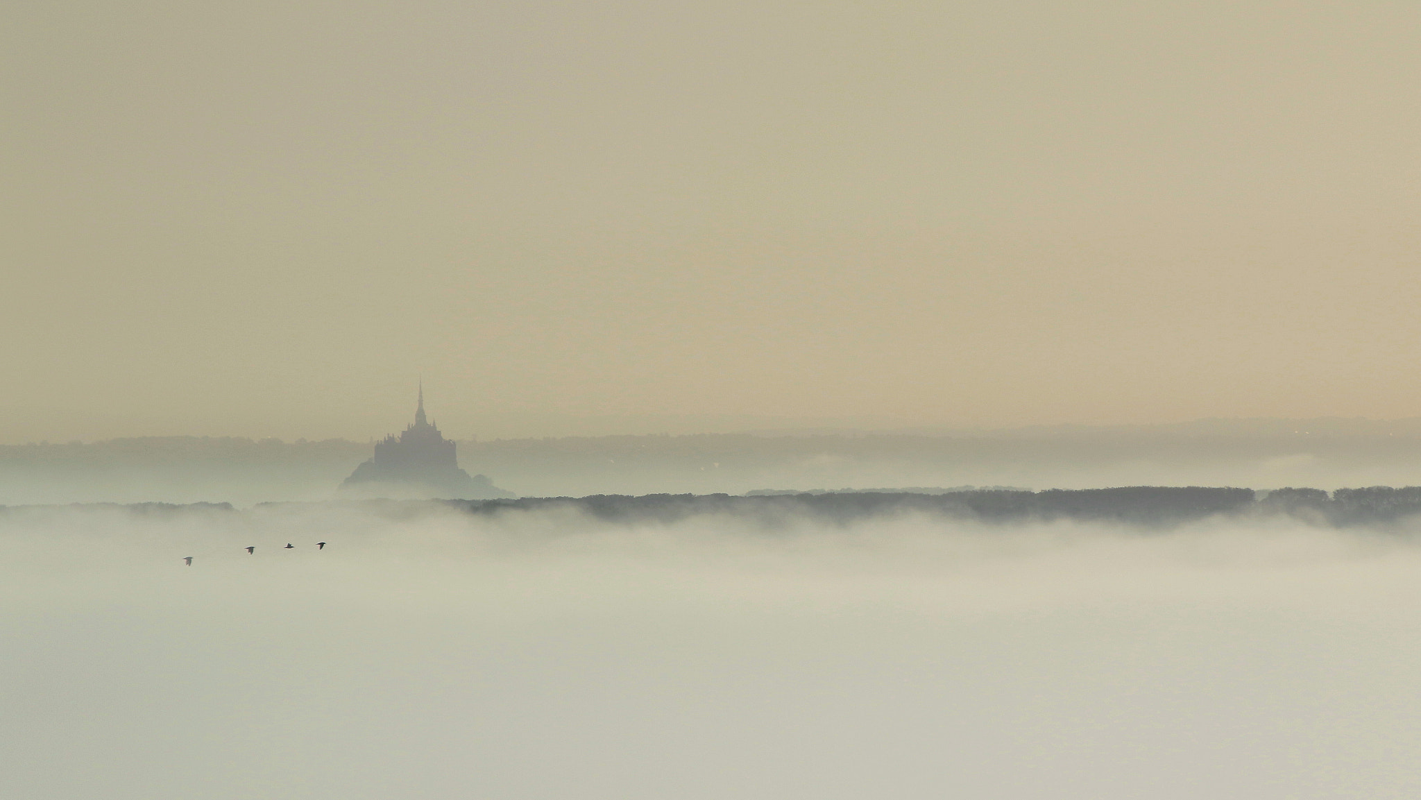 Canon EOS 7D Mark II sample photo. Morning mist photography