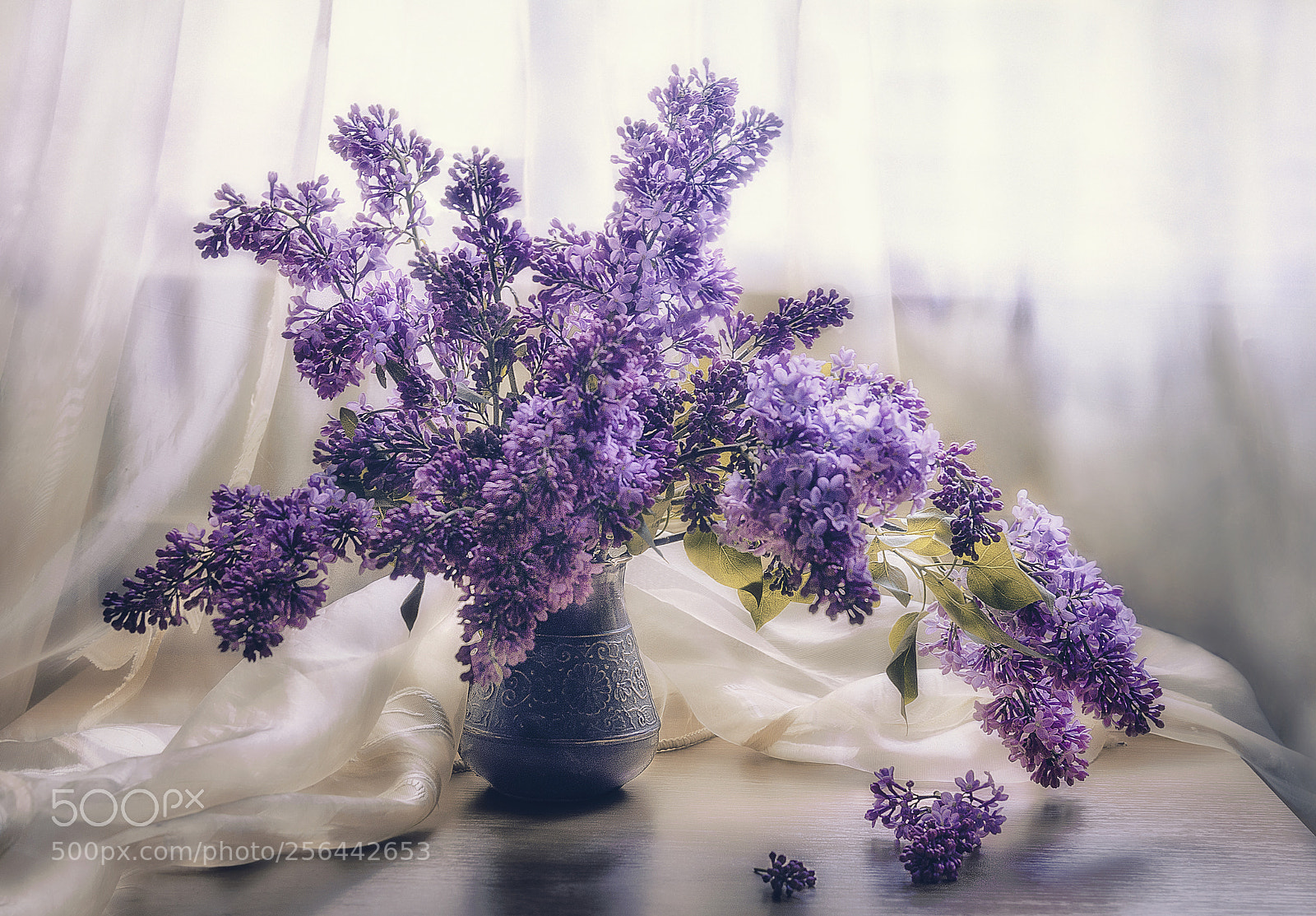 Nikon D7000 sample photo. A bouquet of lilac photography