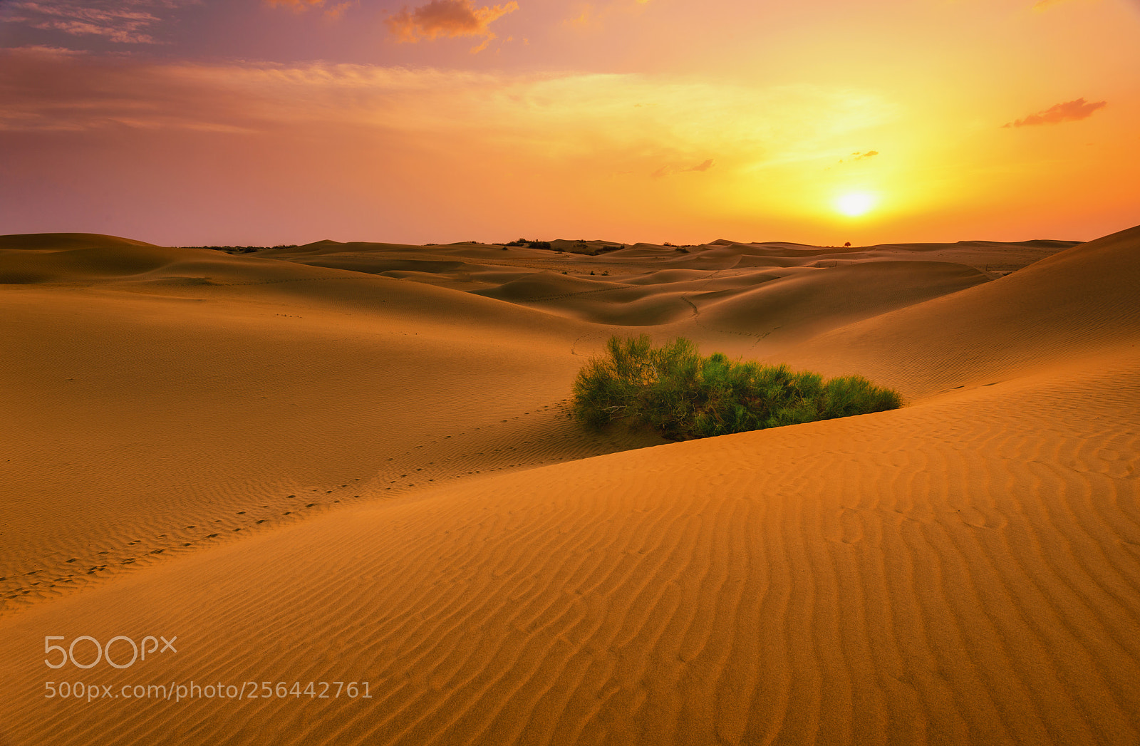 Nikon D800 sample photo. Sunset at sundara photography