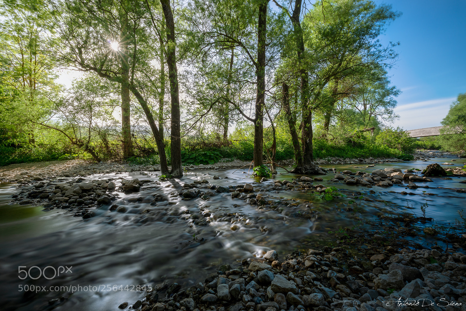 Nikon D800 sample photo. Sassinoro ponte di legno photography