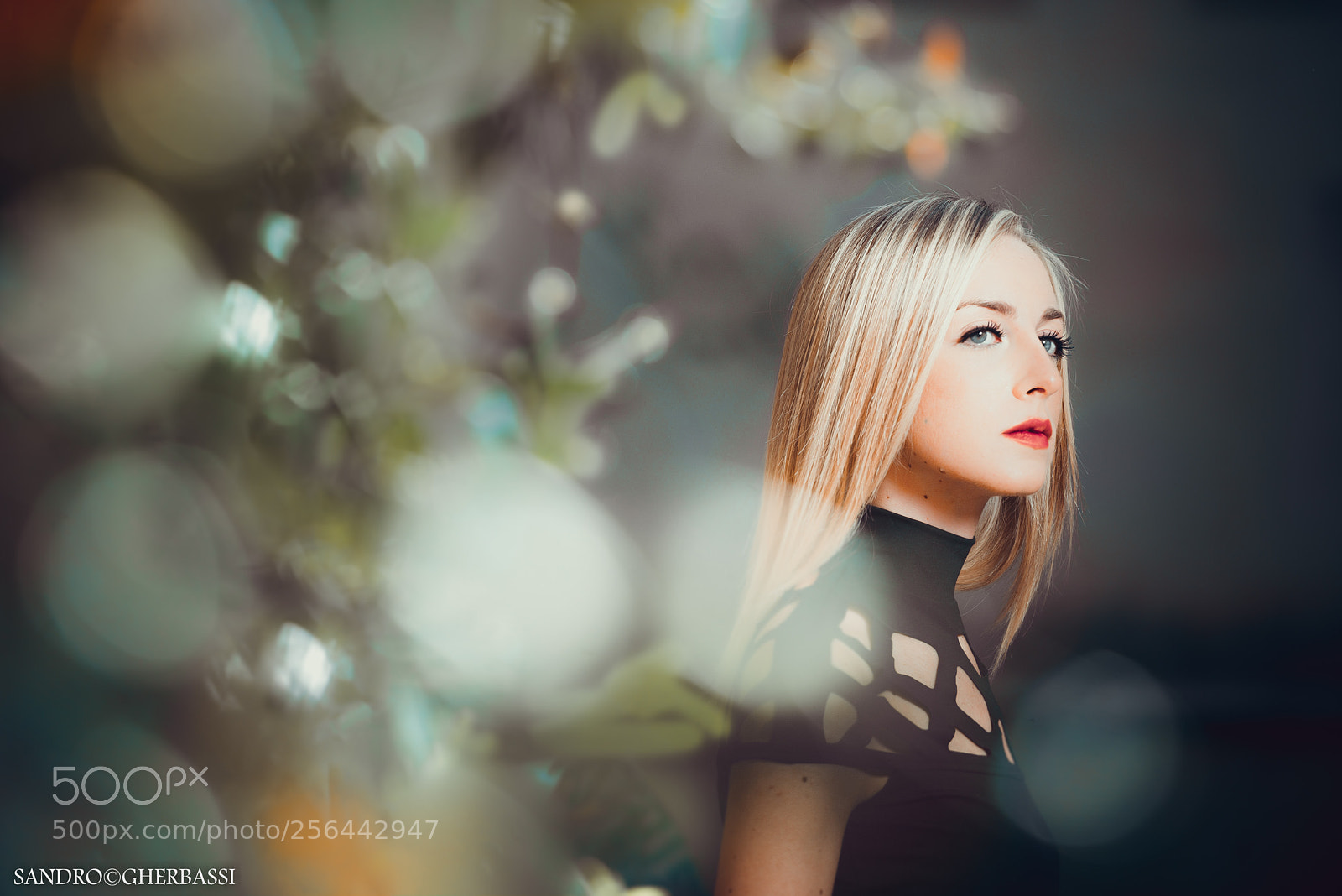 Nikon D800 sample photo. Lorenza photography