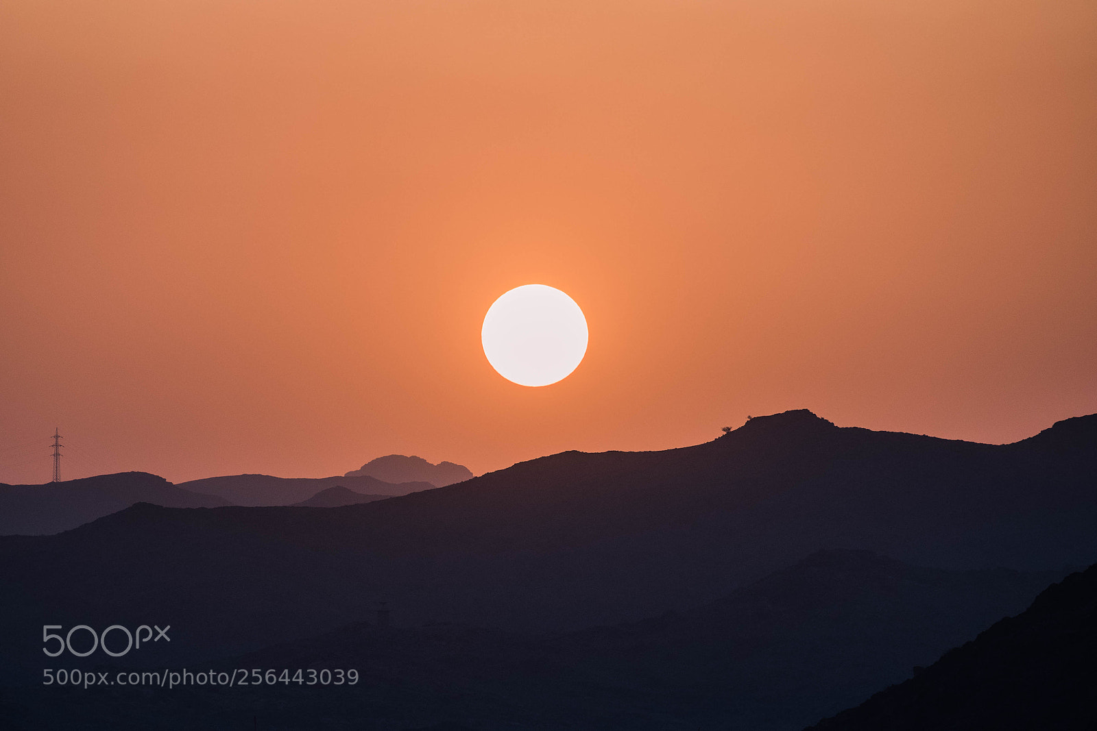 Nikon D5600 sample photo. Taif sunset photography