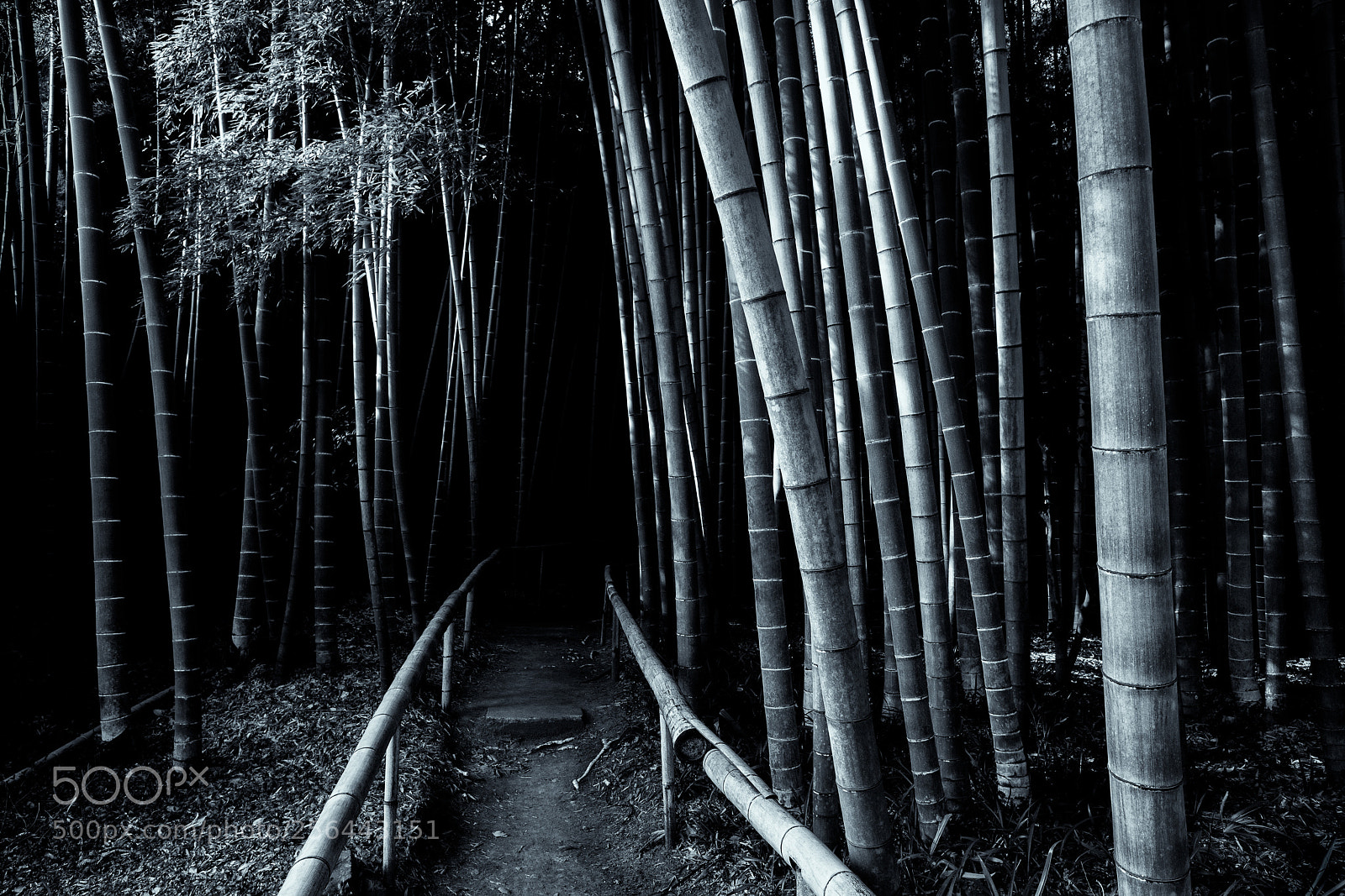 Sony a99 II sample photo. Into the darkness photography