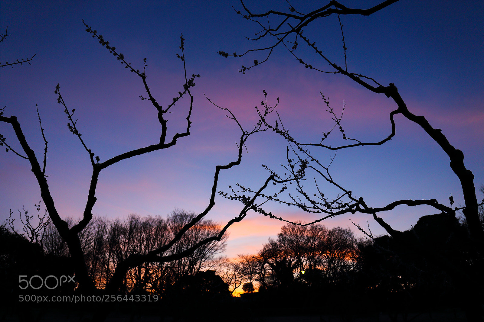 Canon EOS 6D sample photo. A sunset in late photography