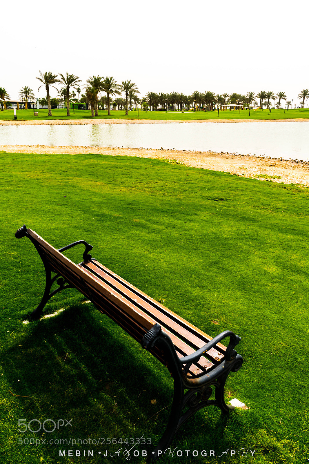 Nikon D5300 sample photo. Modon park photography