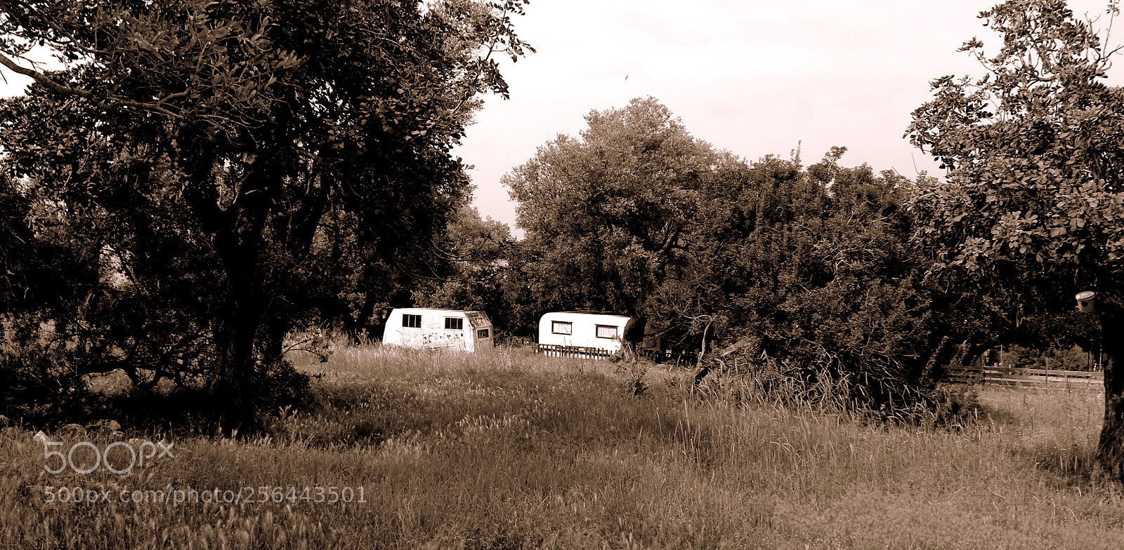 Canon EOS 1100D (EOS Rebel T3 / EOS Kiss X50) sample photo. Abandoned place photography