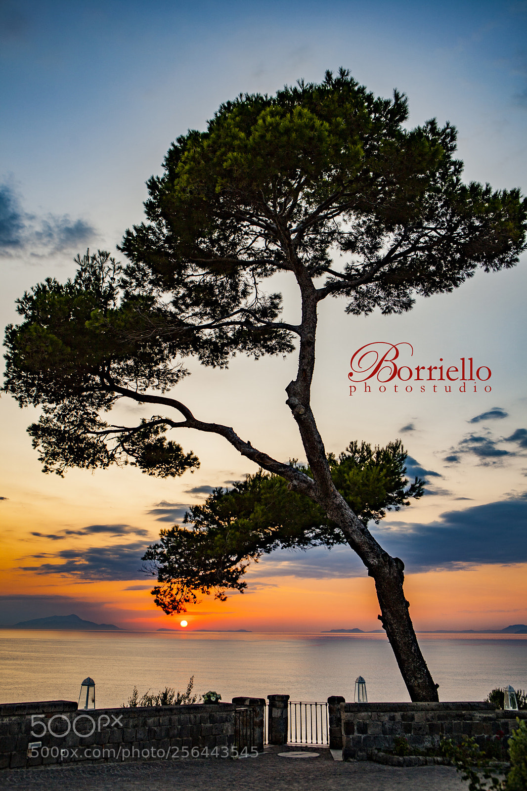 Canon EOS 5D Mark II sample photo. Img photography