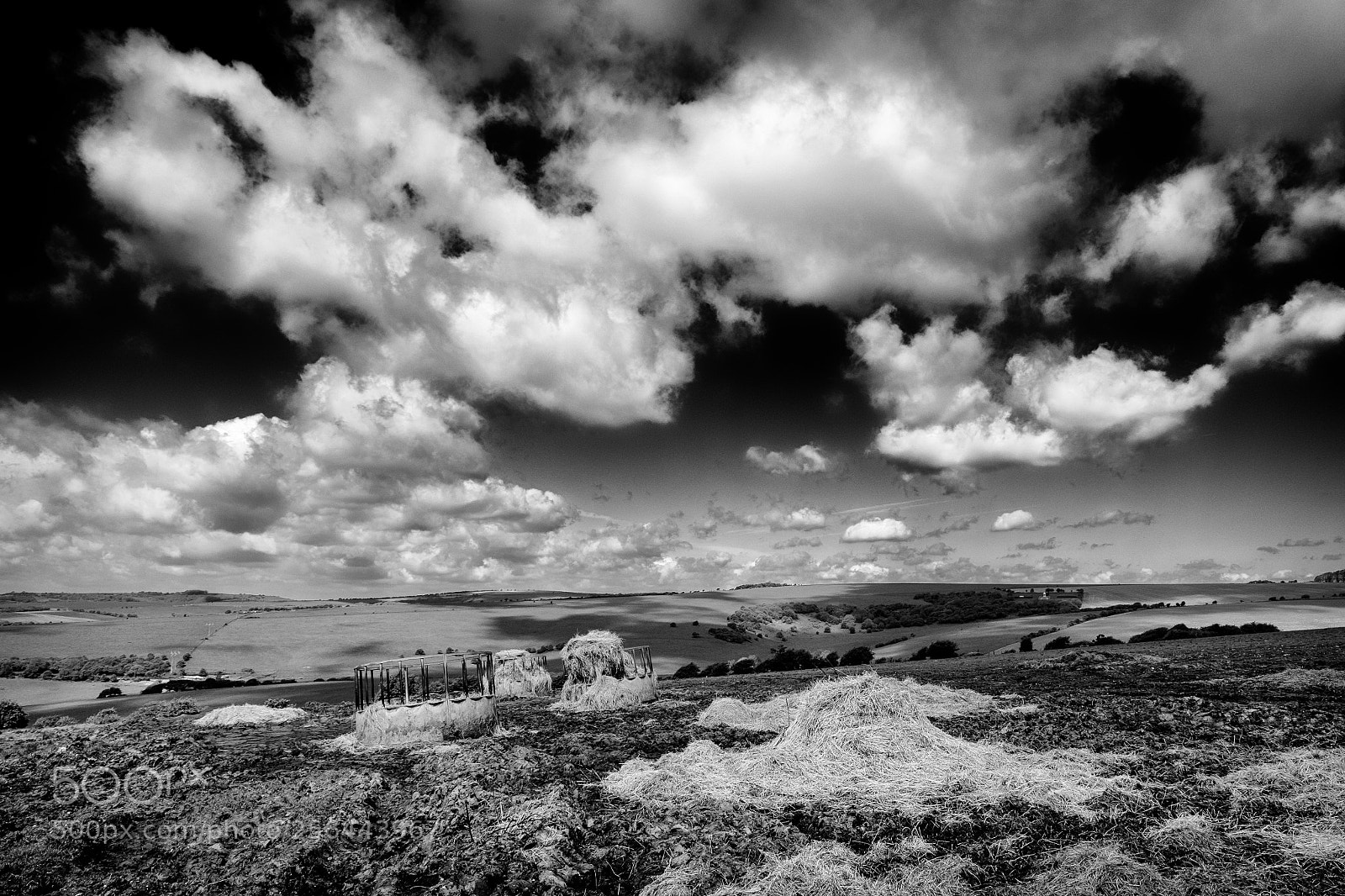 Fujifilm X-T1 sample photo. South downs iii photography