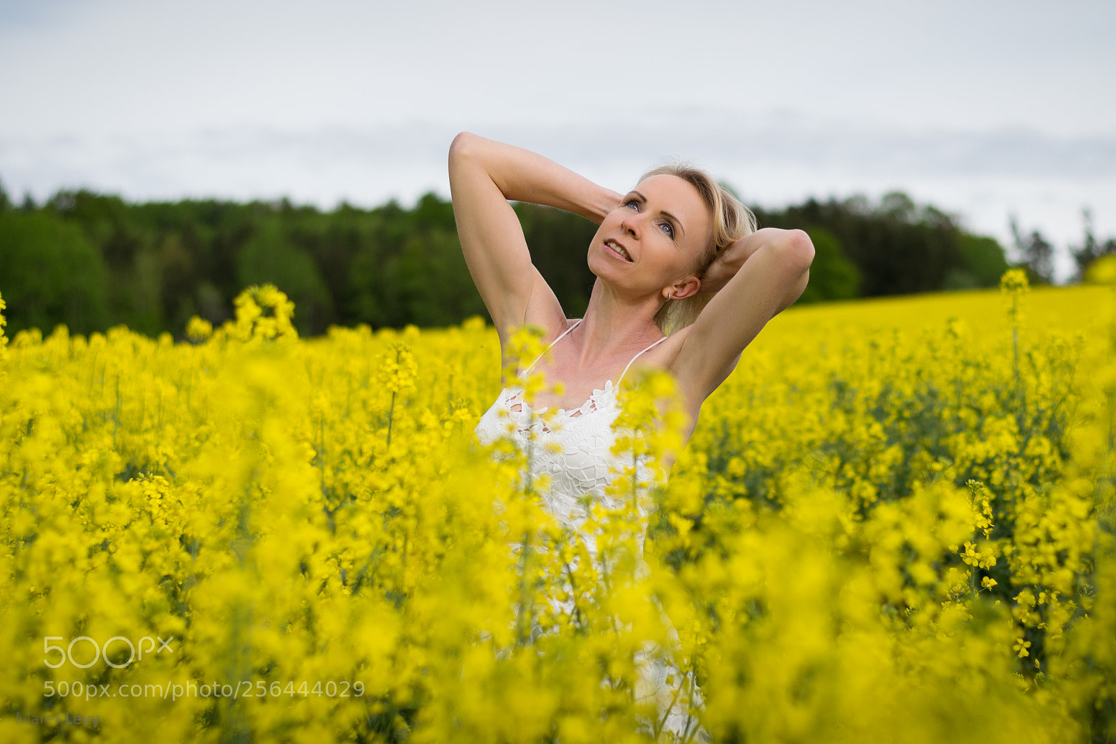 Nikon D5300 sample photo. In yellow photography