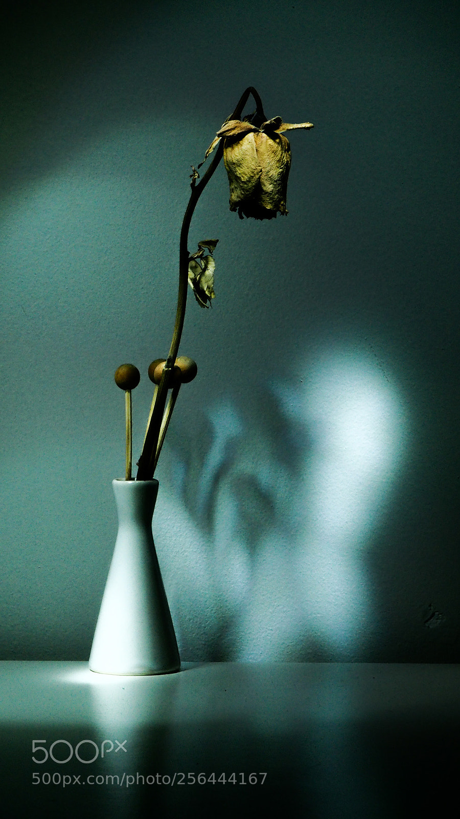 Olympus OM-D E-M10 II sample photo. Live composite olympus photography