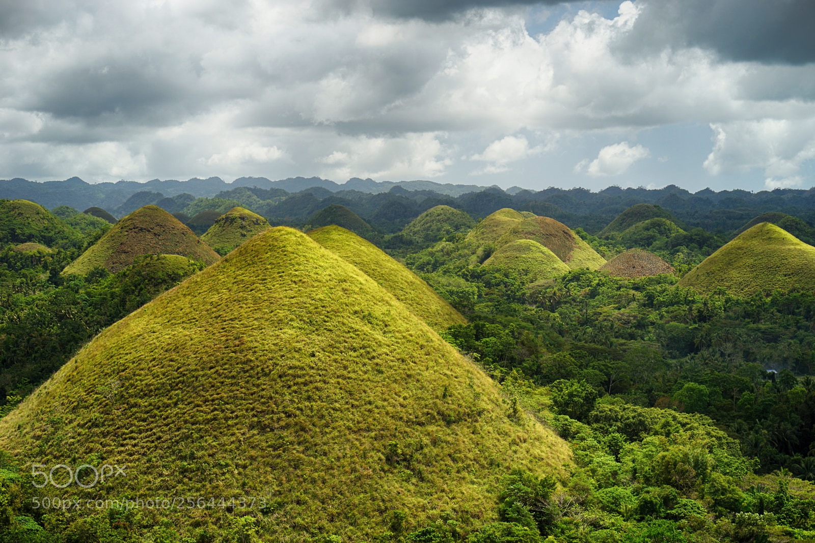 Sony a7 II sample photo. Bohol photography