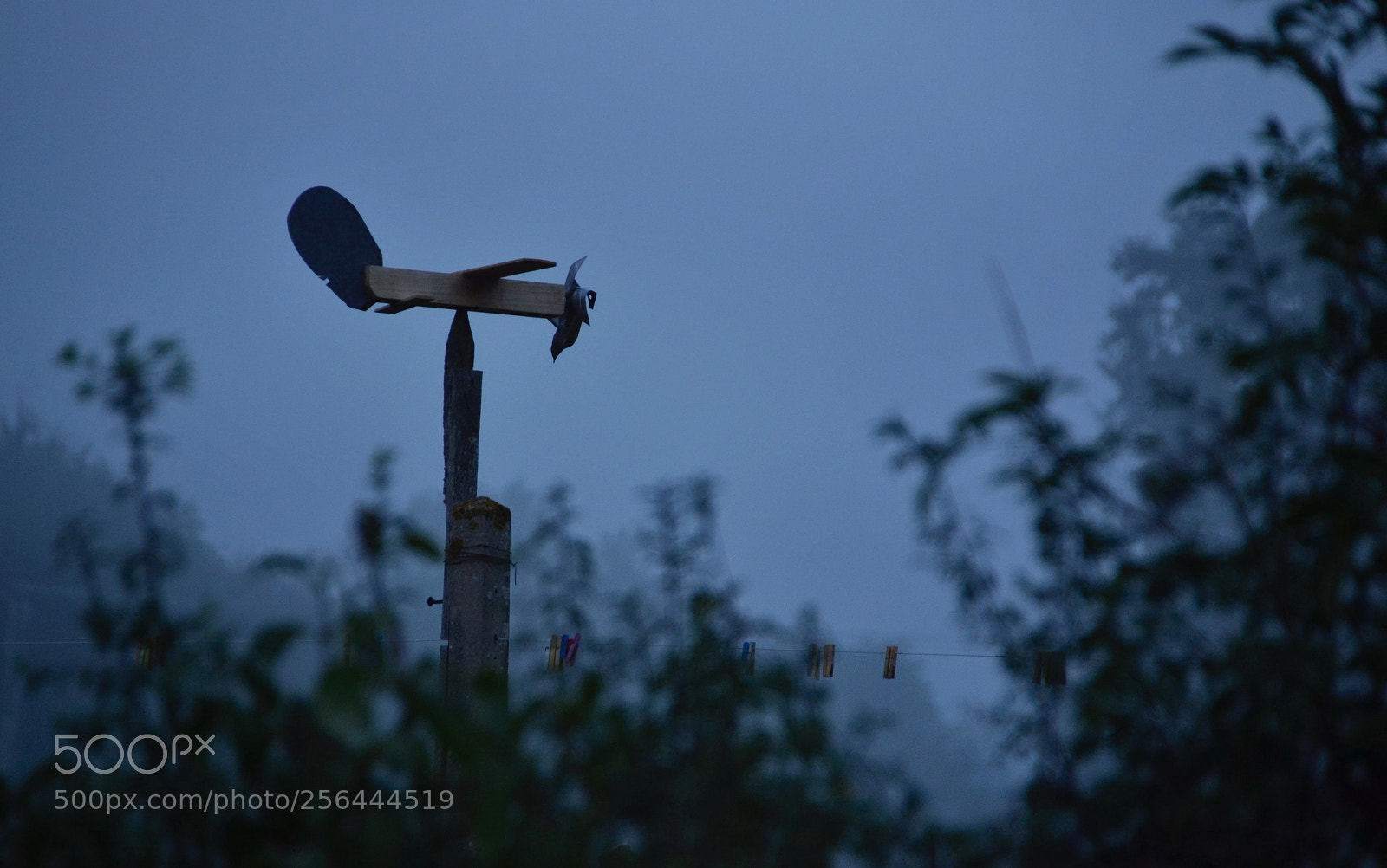 Nikon D3100 sample photo. Peaceful flight photography