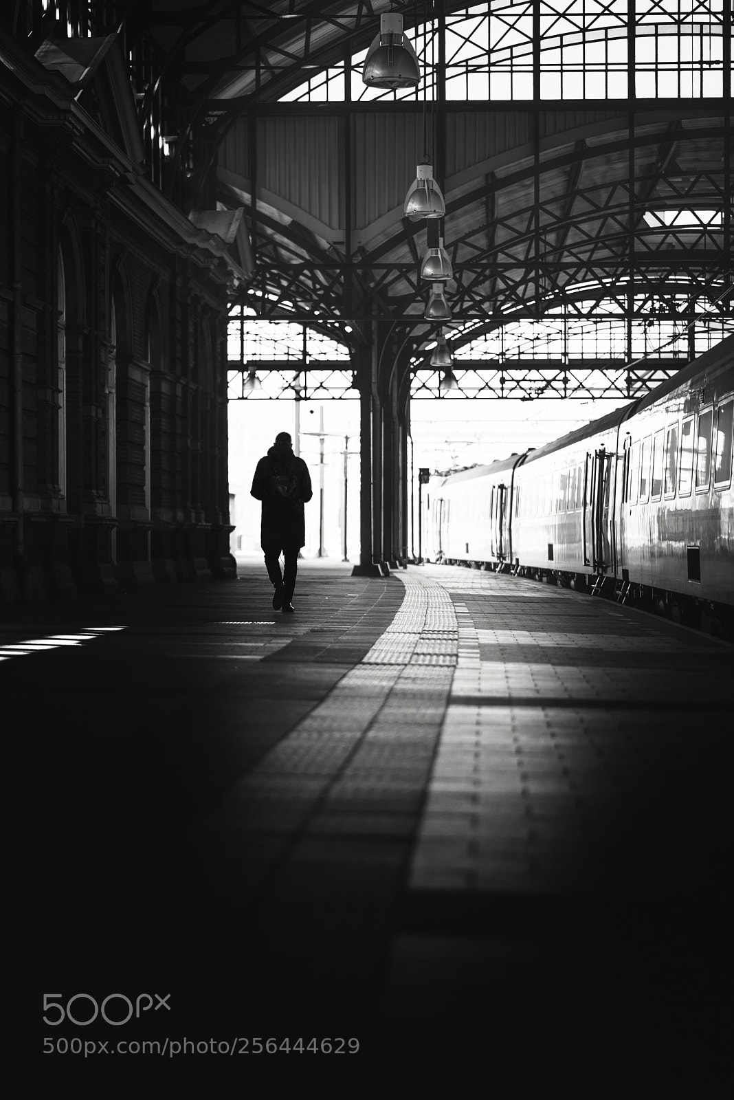 Nikon D750 sample photo. Walk on by photography