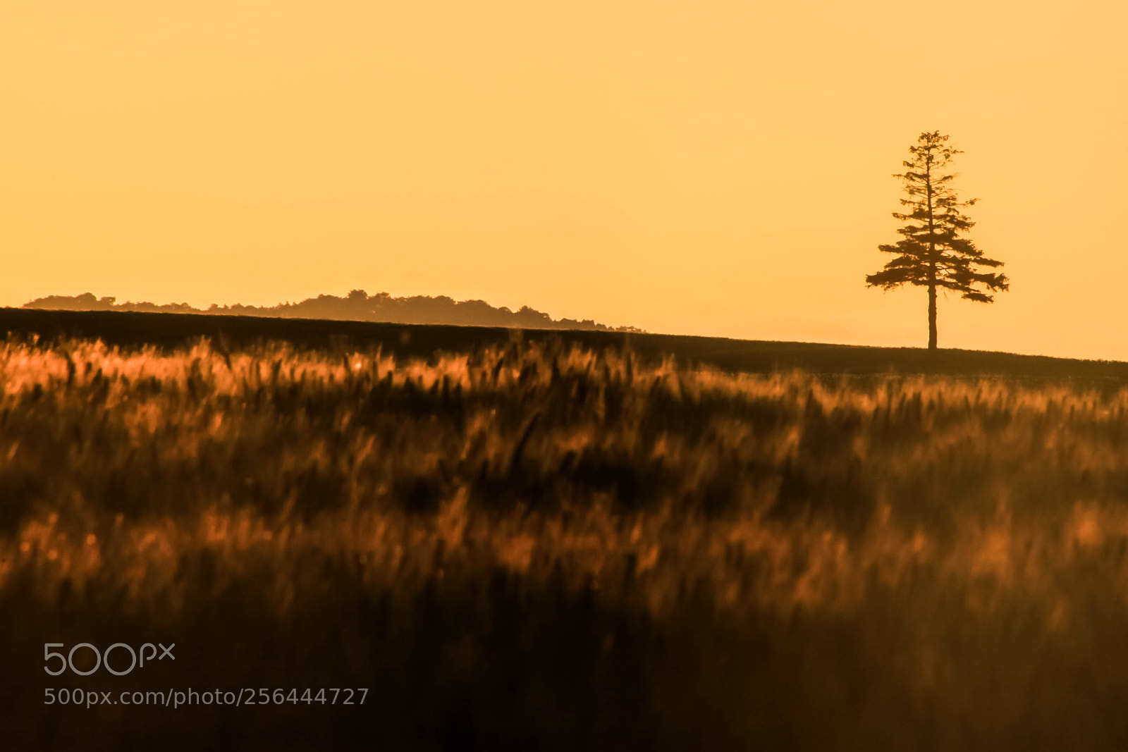Canon EOS 5D Mark II sample photo. Sunset in biei 001 photography