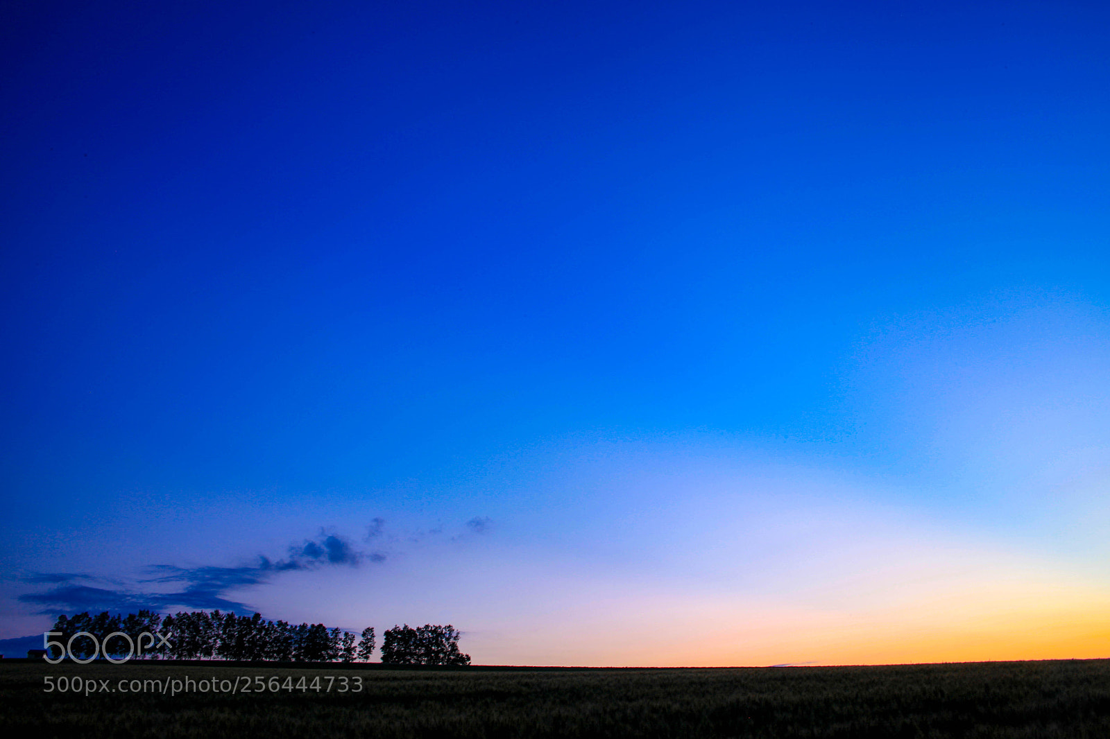Canon EOS 5D Mark II sample photo. Sunset in biei 003 photography