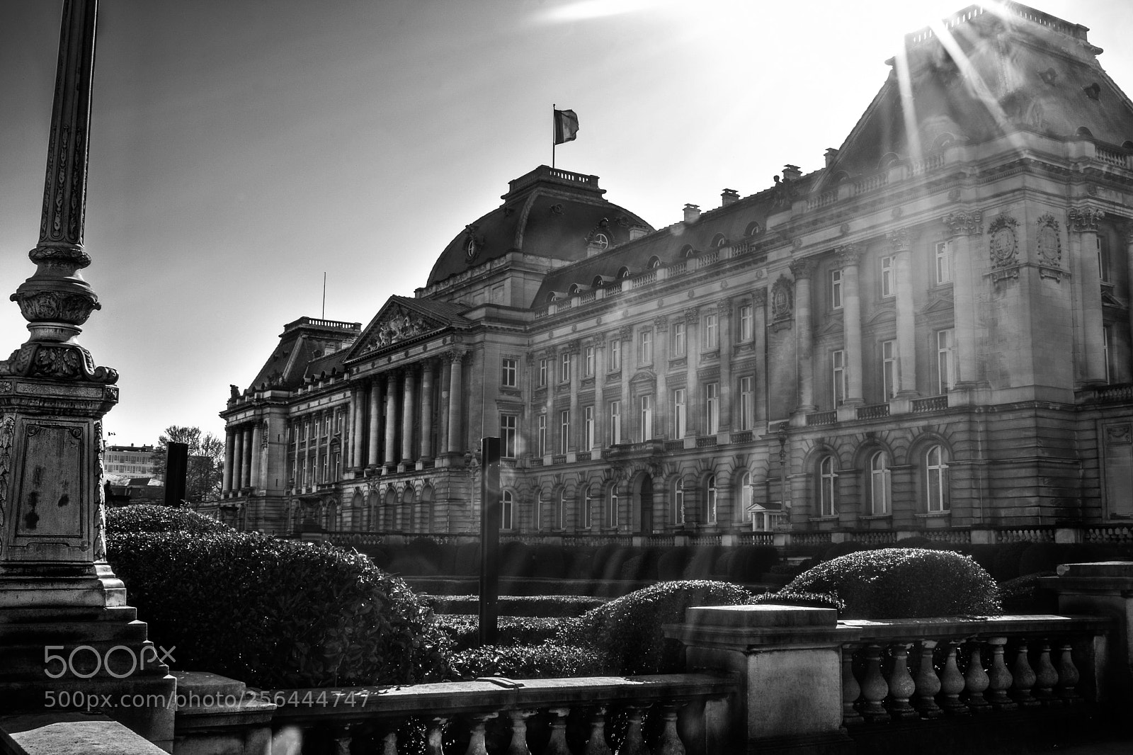 Nikon D3300 sample photo. Royal palace of brussels photography