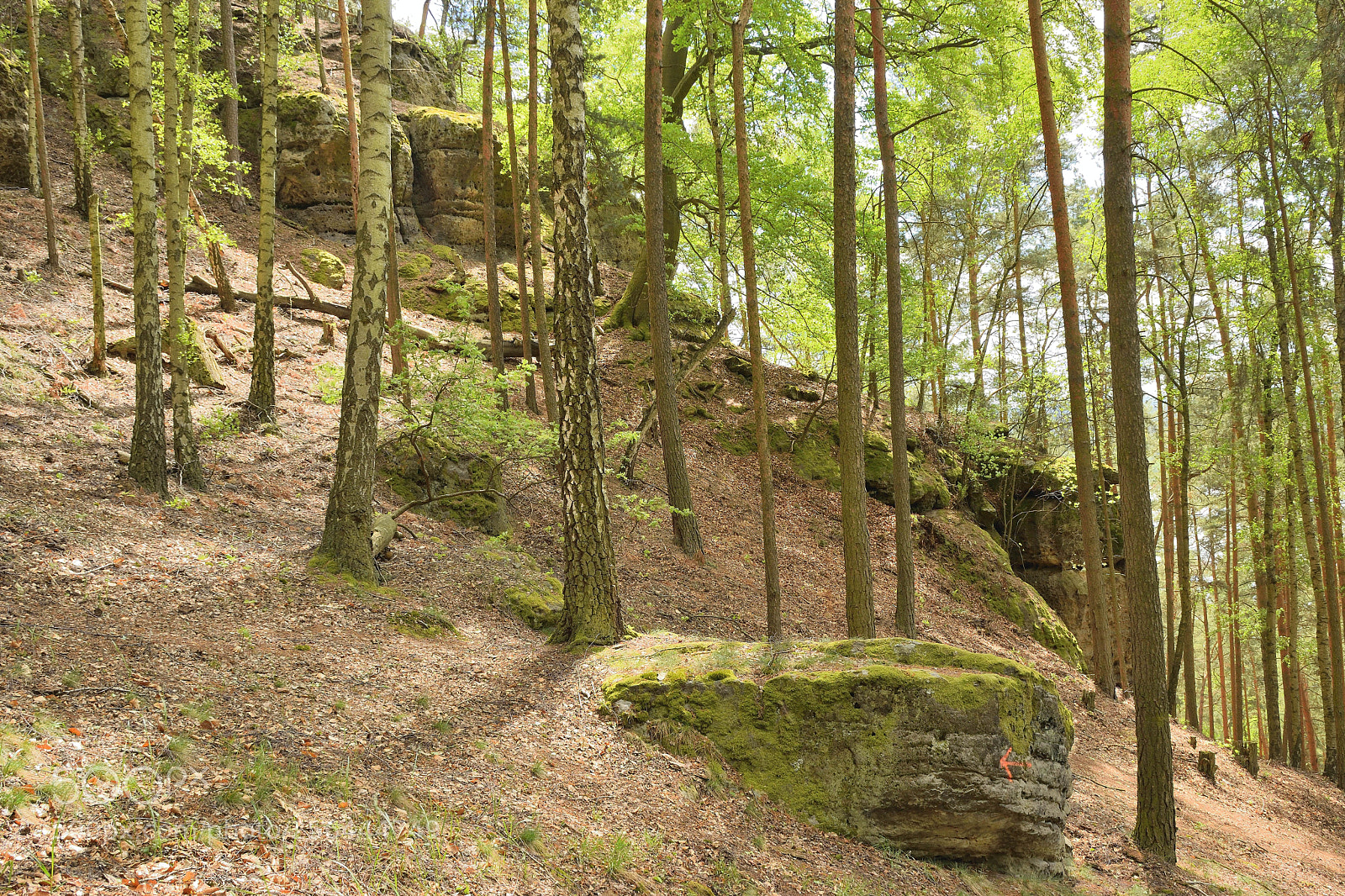 Nikon D5300 sample photo. Stones and rock in photography