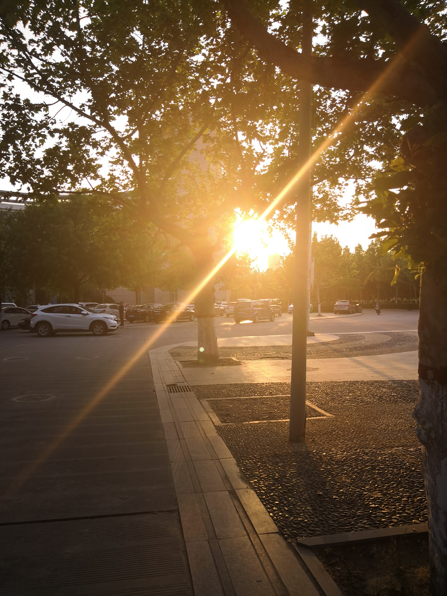 HUAWEI Honor V10 sample photo