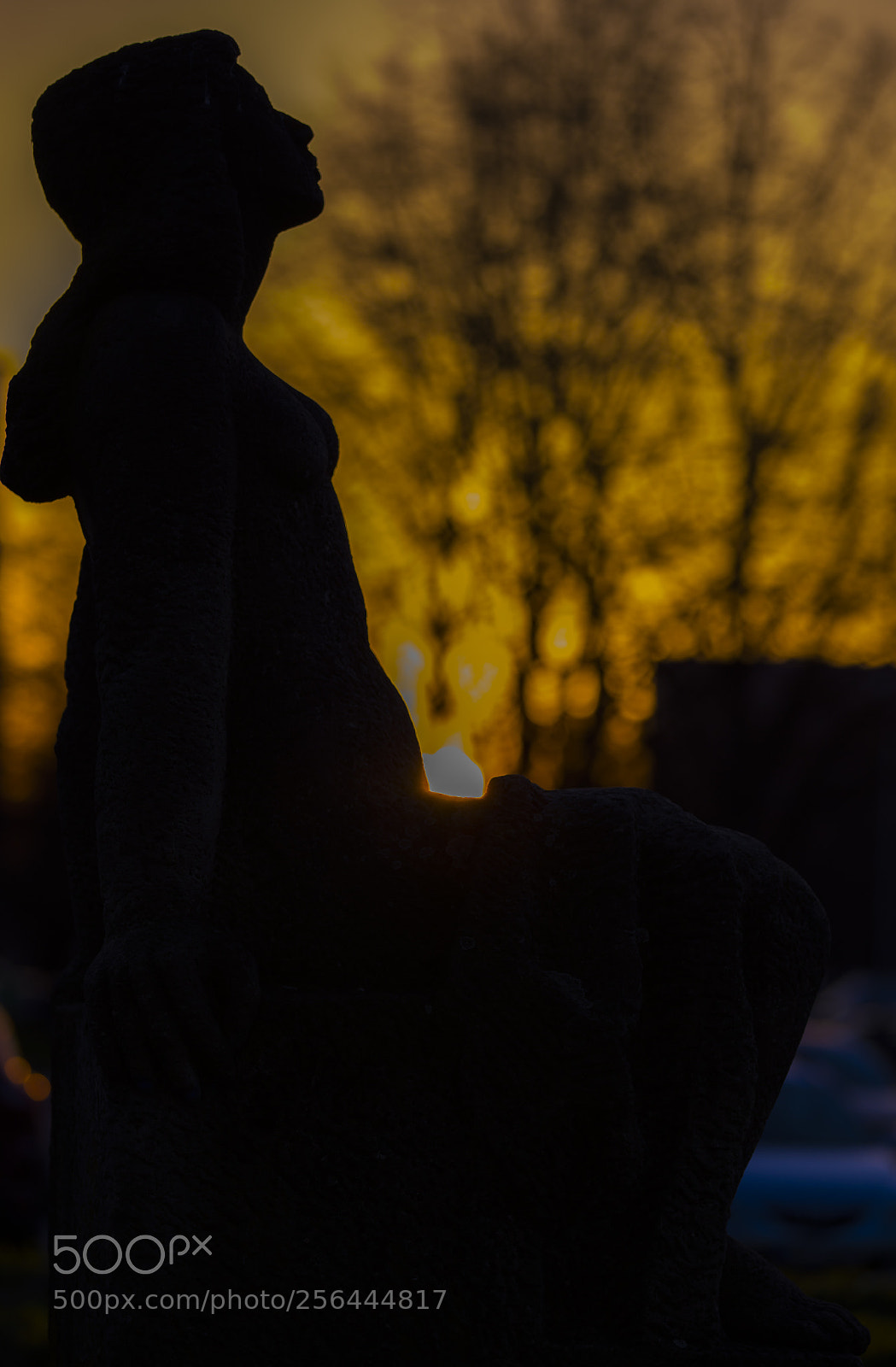 Canon EOS 6D sample photo. Img photography