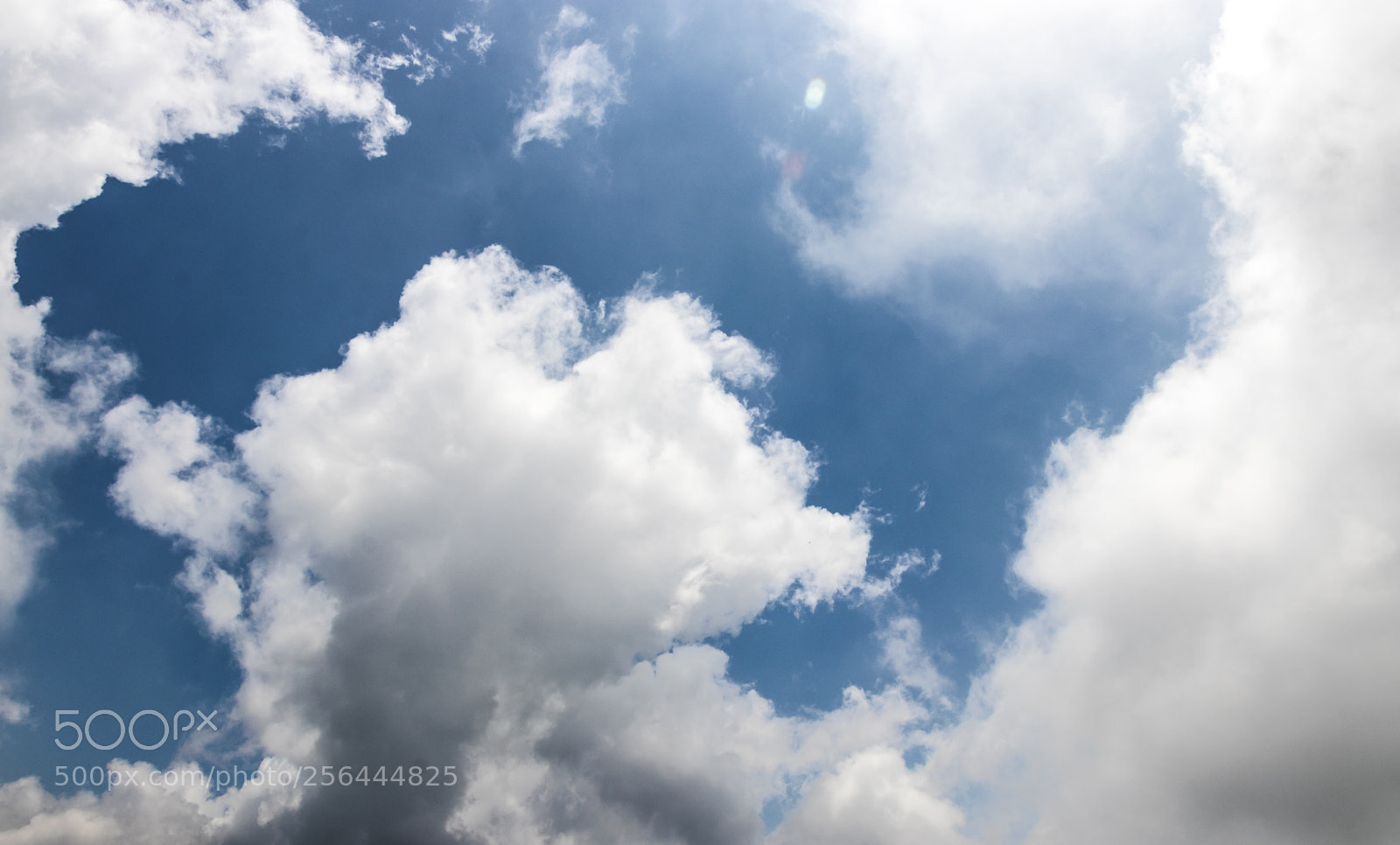 Canon EOS 77D (EOS 9000D / EOS 770D) sample photo. Img photography