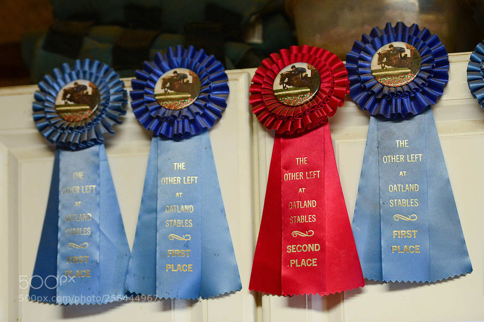 Nikon D800 sample photo. Awards from the past photography