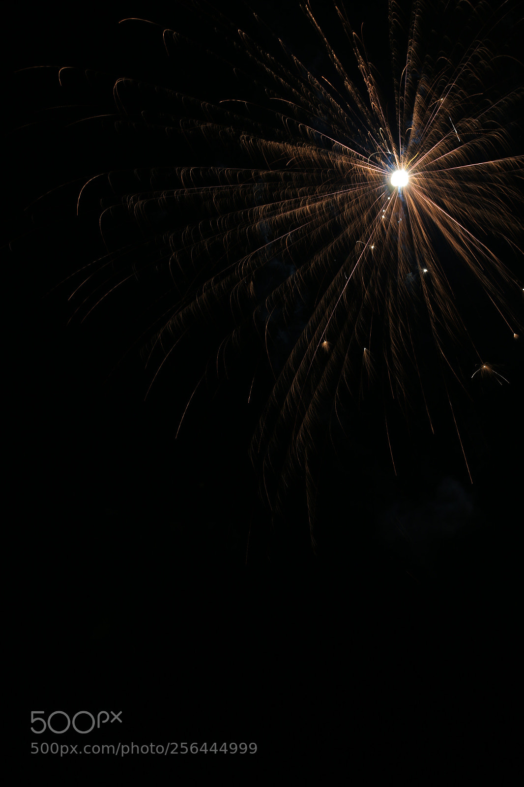 Canon EOS 6D sample photo. Img photography