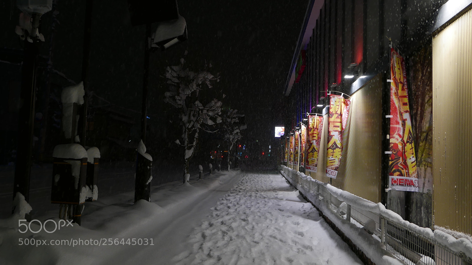 Leica D-Lux (Typ 109) sample photo. 雪夜。。。 photography