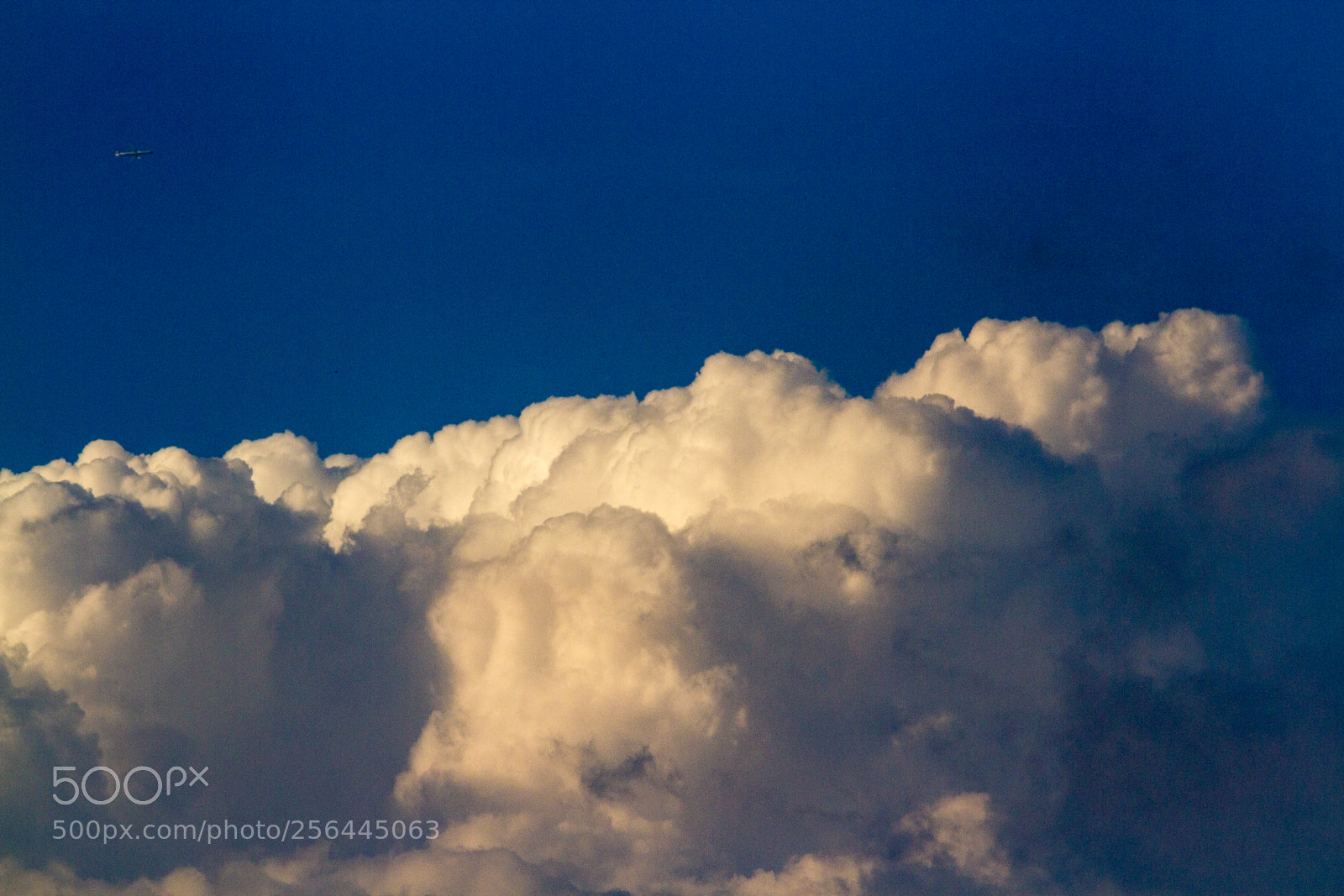 Canon EOS 7D sample photo. Untitled photography