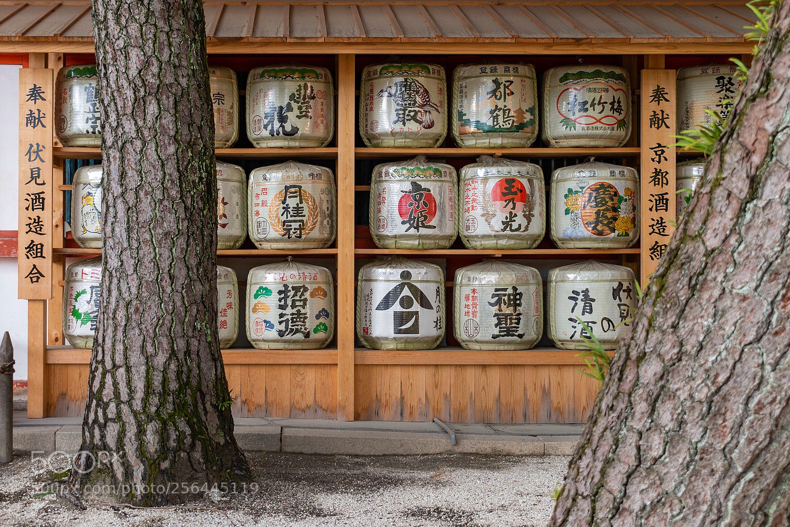 Nikon D5600 sample photo. Sake photography