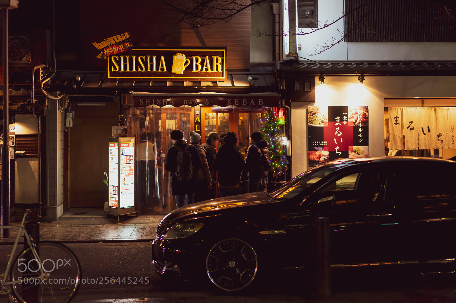 Sony a7 II sample photo. Maruichi photography