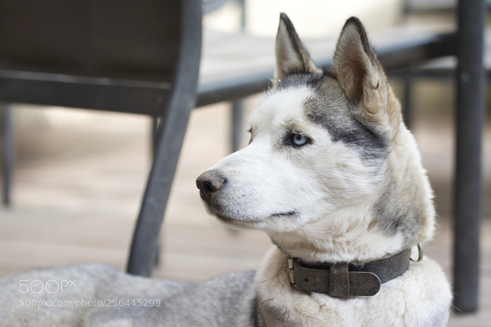 Nikon D7100 sample photo. The beginning photography
