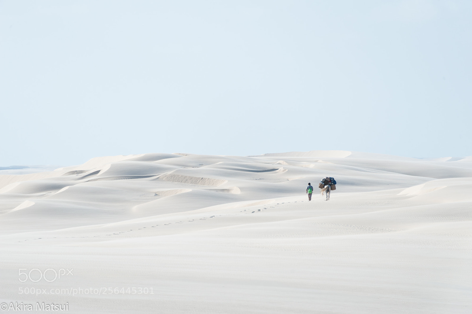 Nikon D3 sample photo. Walking on the white photography