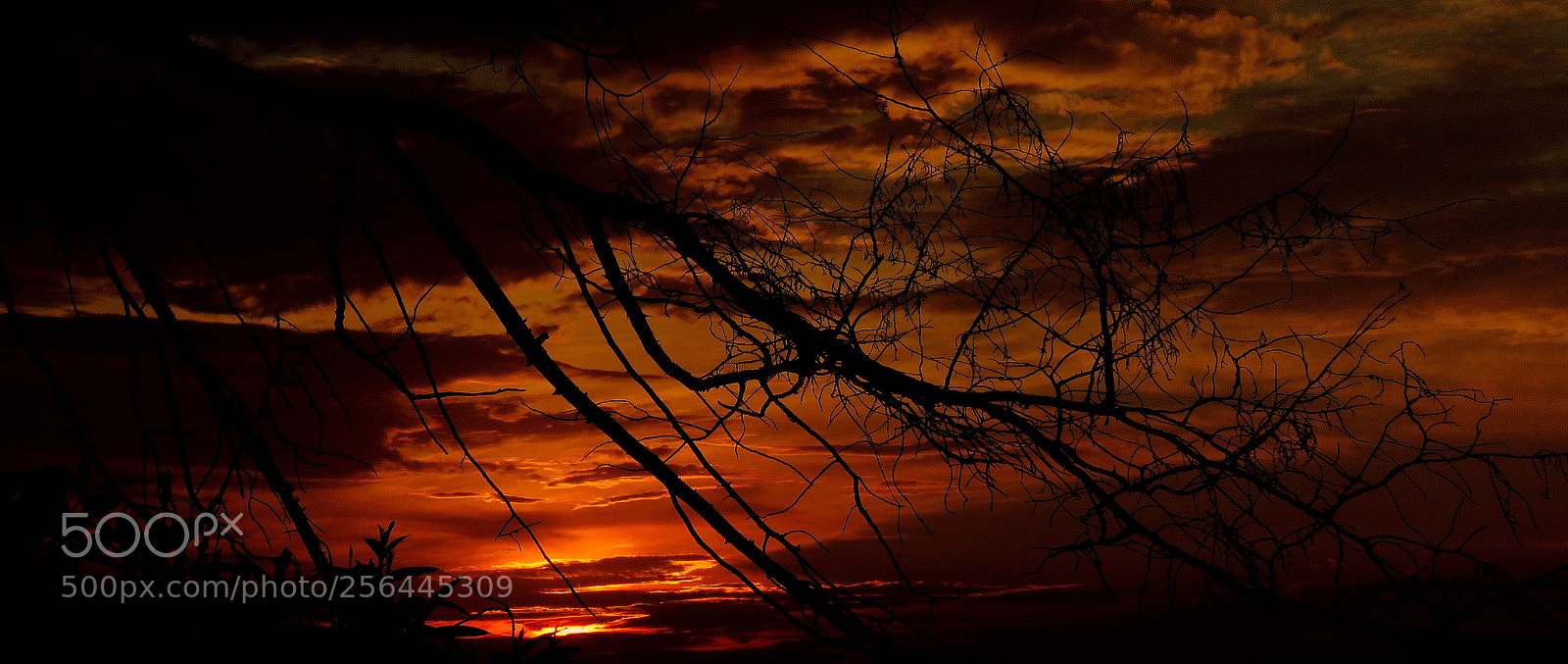 Canon PowerShot SX60 HS sample photo. Sunset ......hot photography