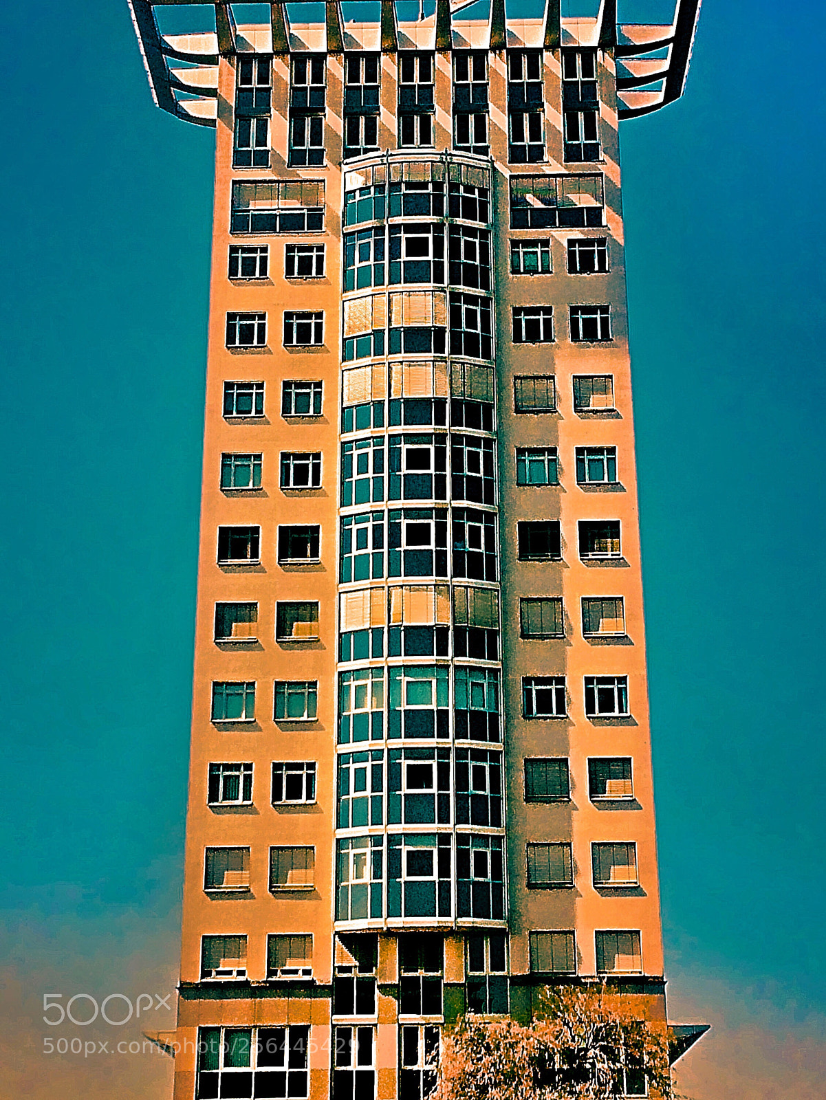 Apple iPhone 5s sample photo. One  photography