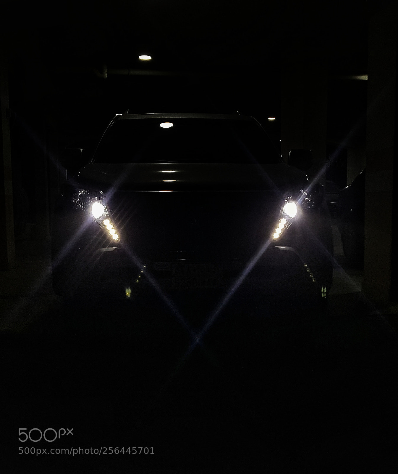 Samsung Galaxy Note5 sample photo. Untitled photography