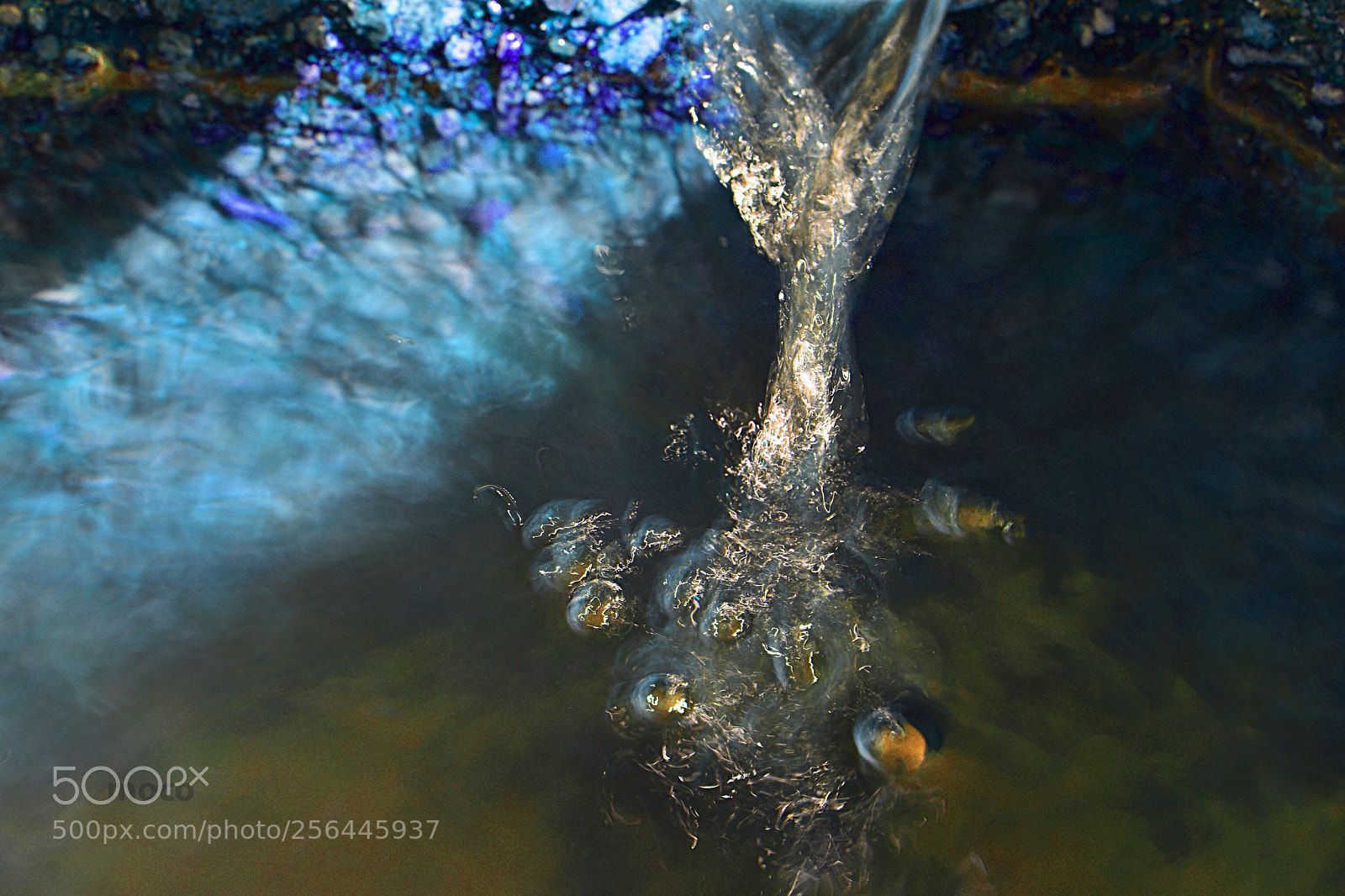 Nikon D500 sample photo. Fountain life photography