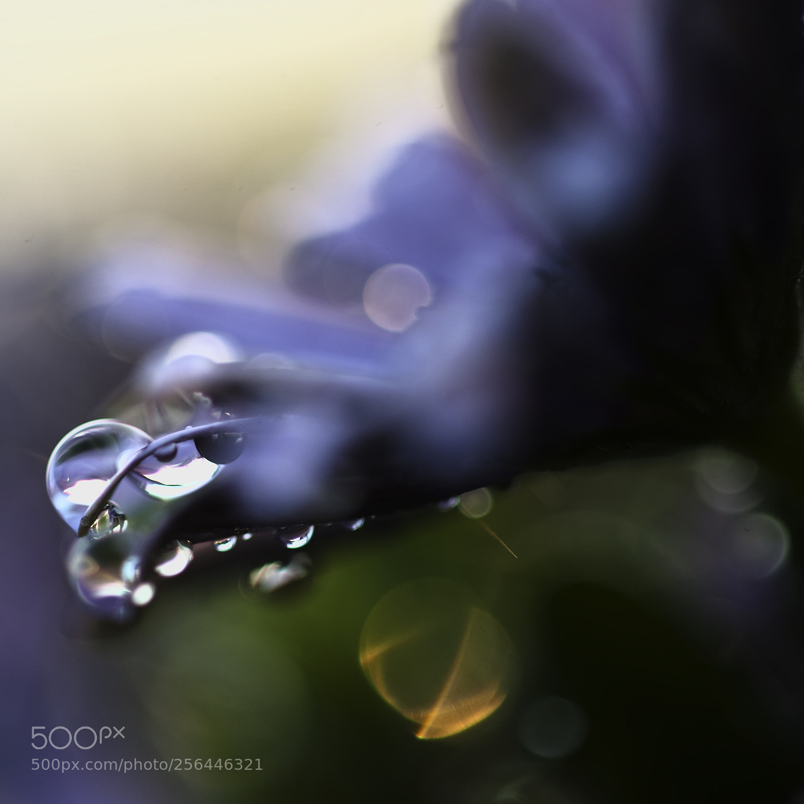 Nikon D3 sample photo. Drop serie photography