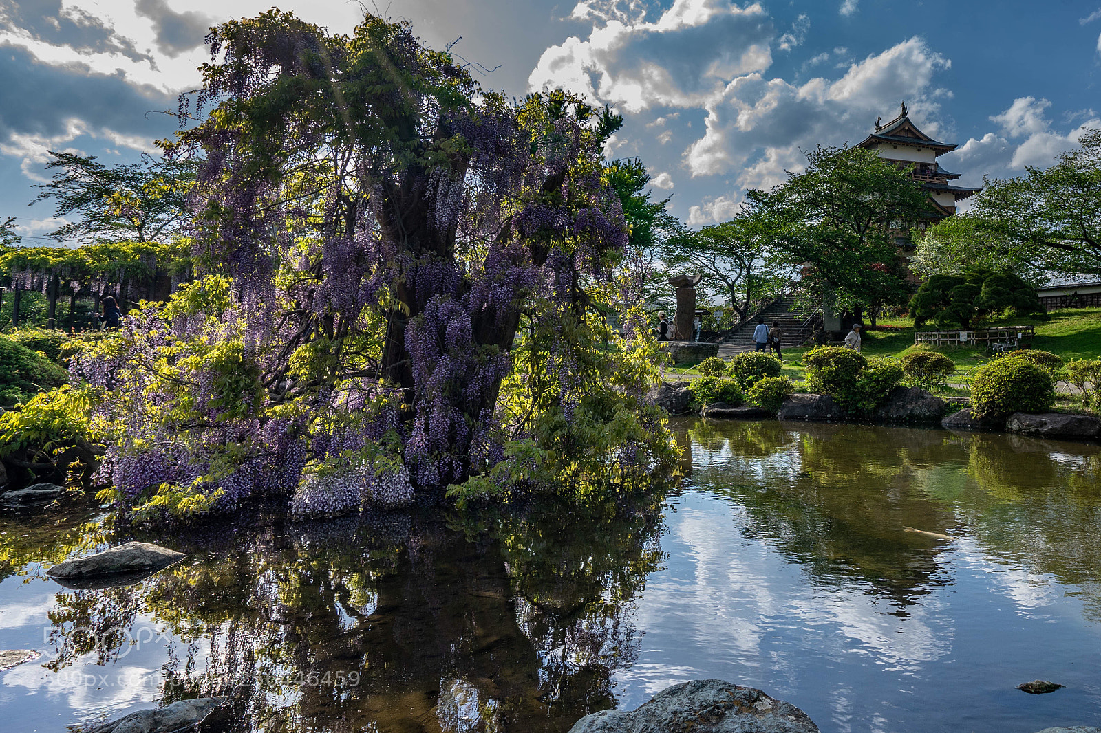 Sony a7 II sample photo. Untitled photography