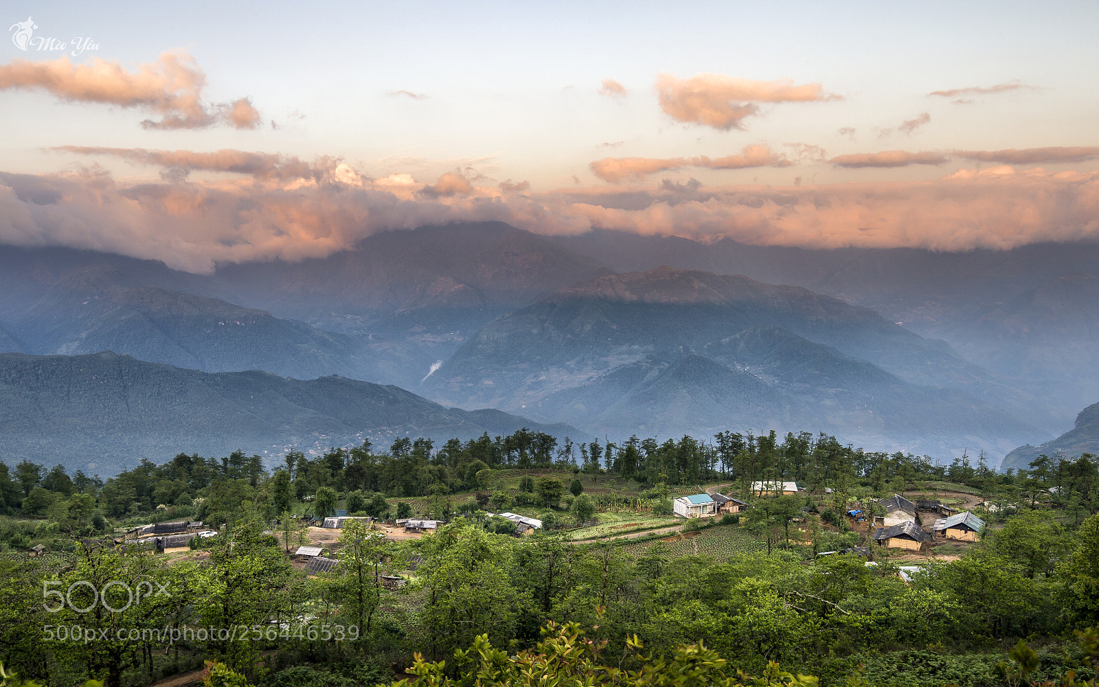 Canon EOS 6D sample photo. Pink sunrise in ngai photography