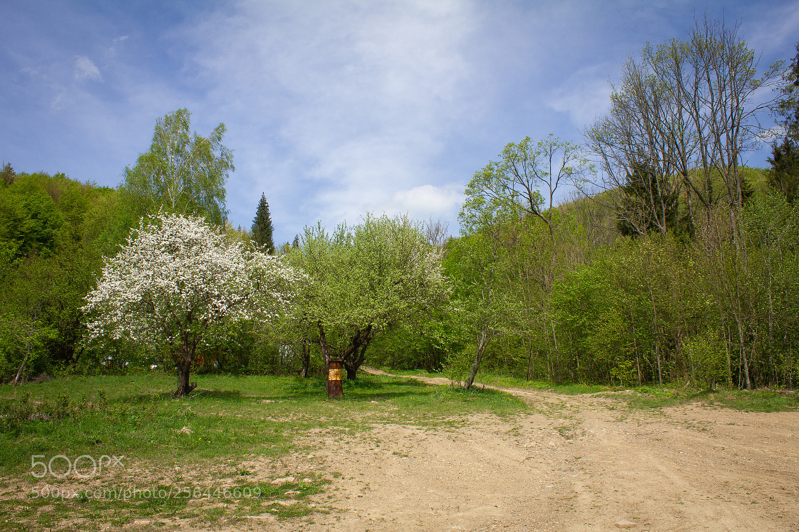 Canon EOS 550D (EOS Rebel T2i / EOS Kiss X4) sample photo. Bieszczady photography