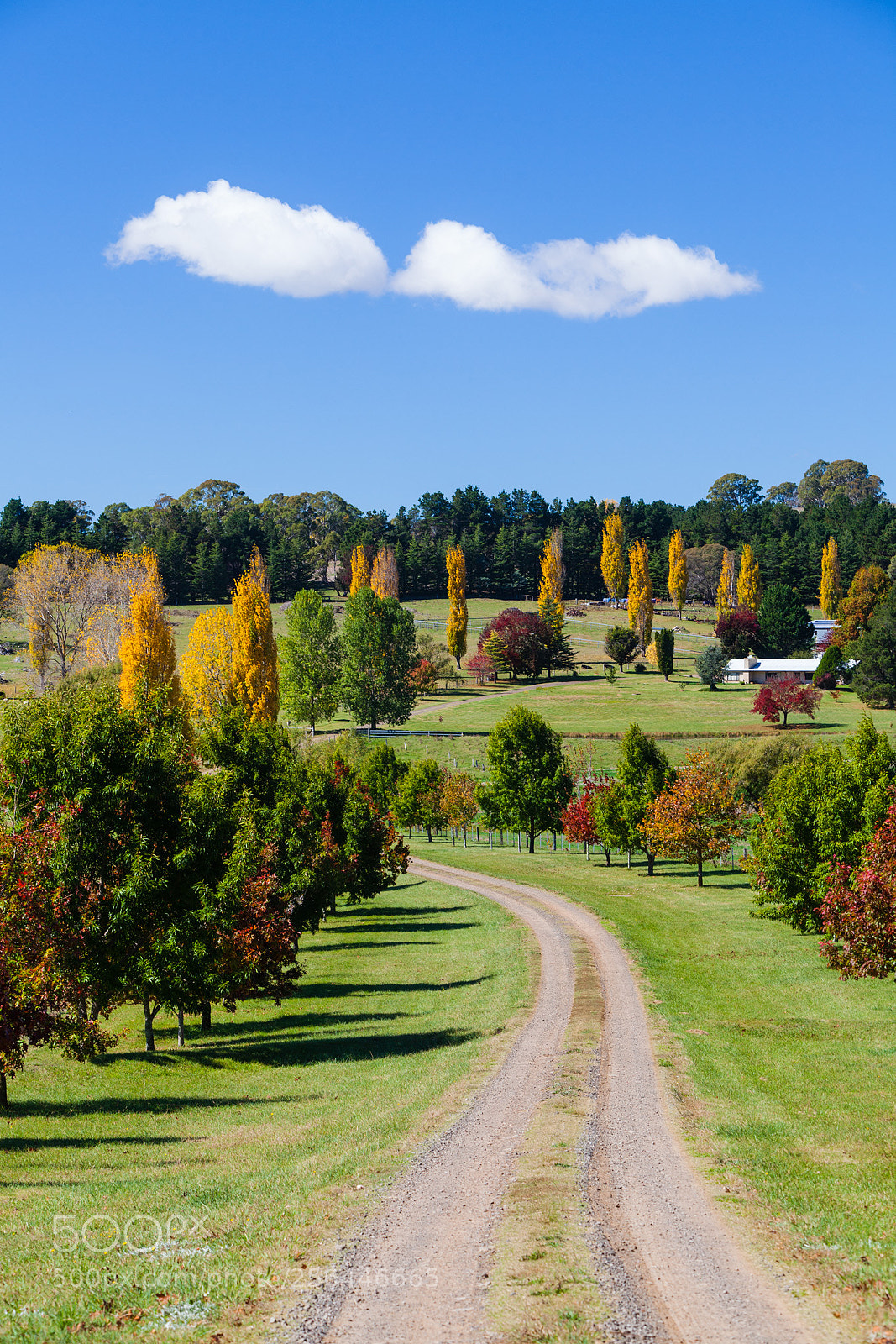 Canon EOS 5D Mark II sample photo. Tuscany in new england photography
